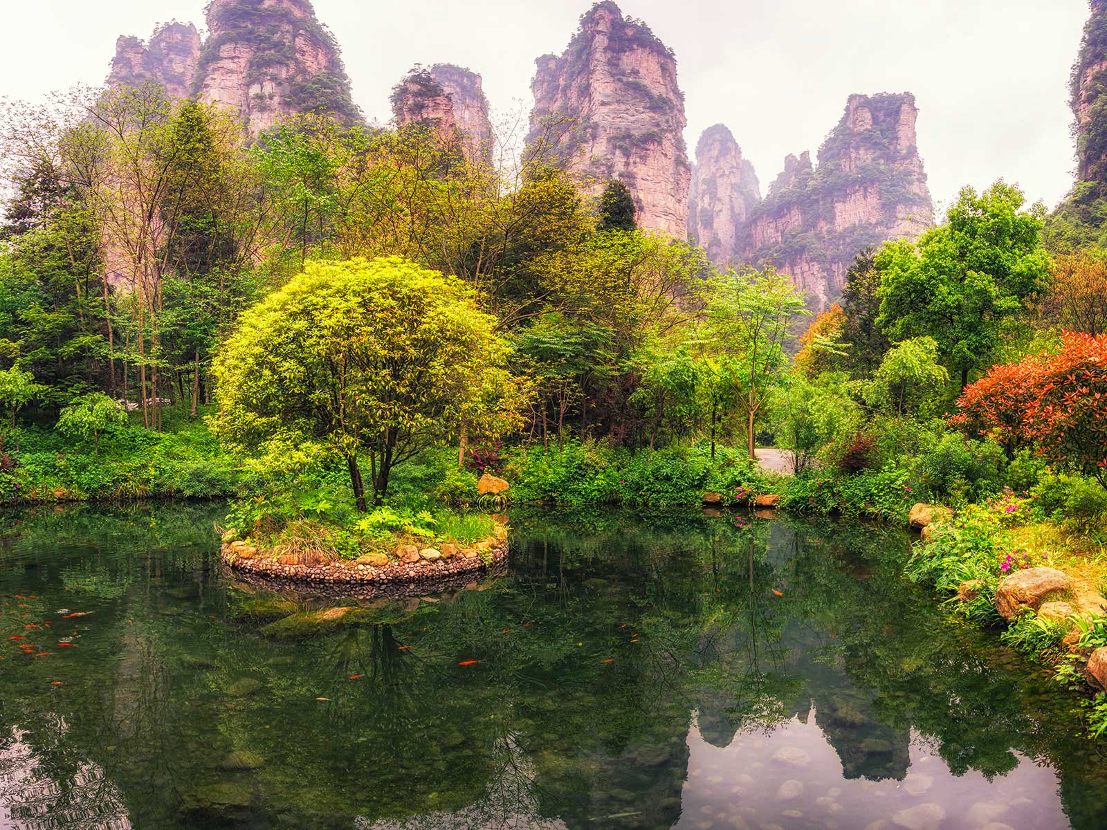 Parque Nacional Forestal de Zhangjiajie