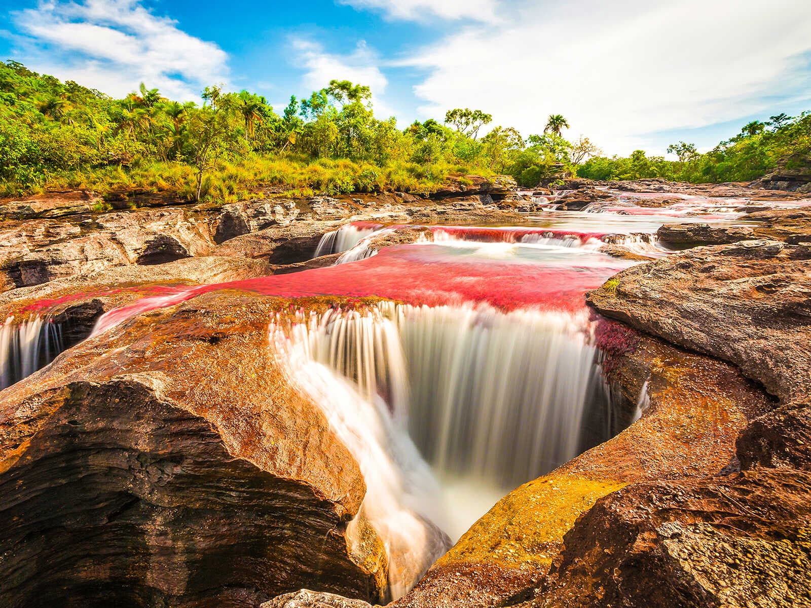 Caño Cristales 1