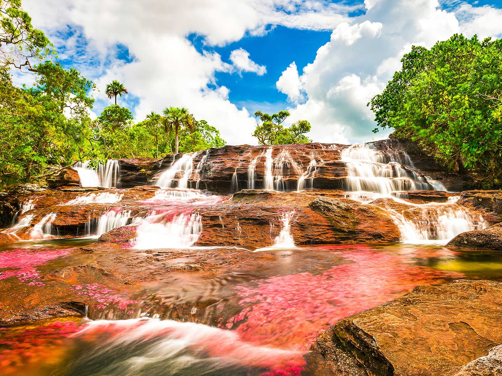 Caño Cristales