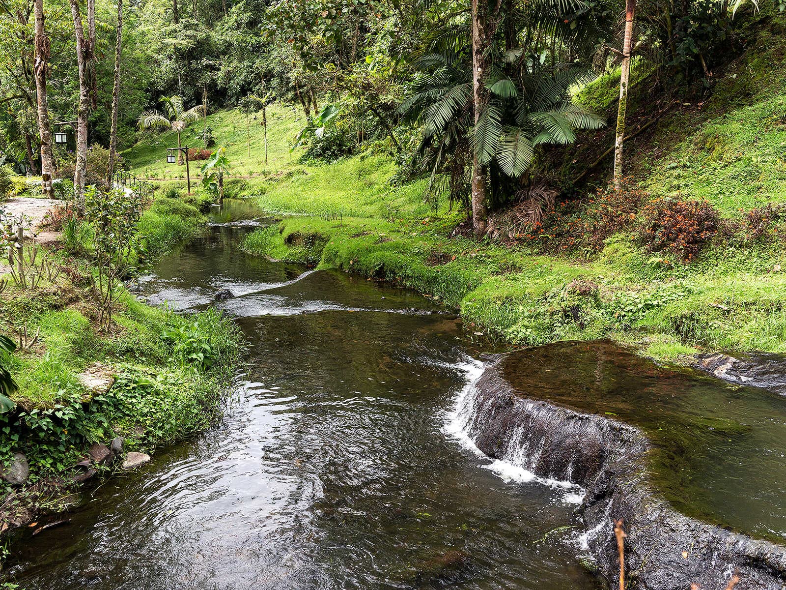 Termales Santa Rosa de Cabal