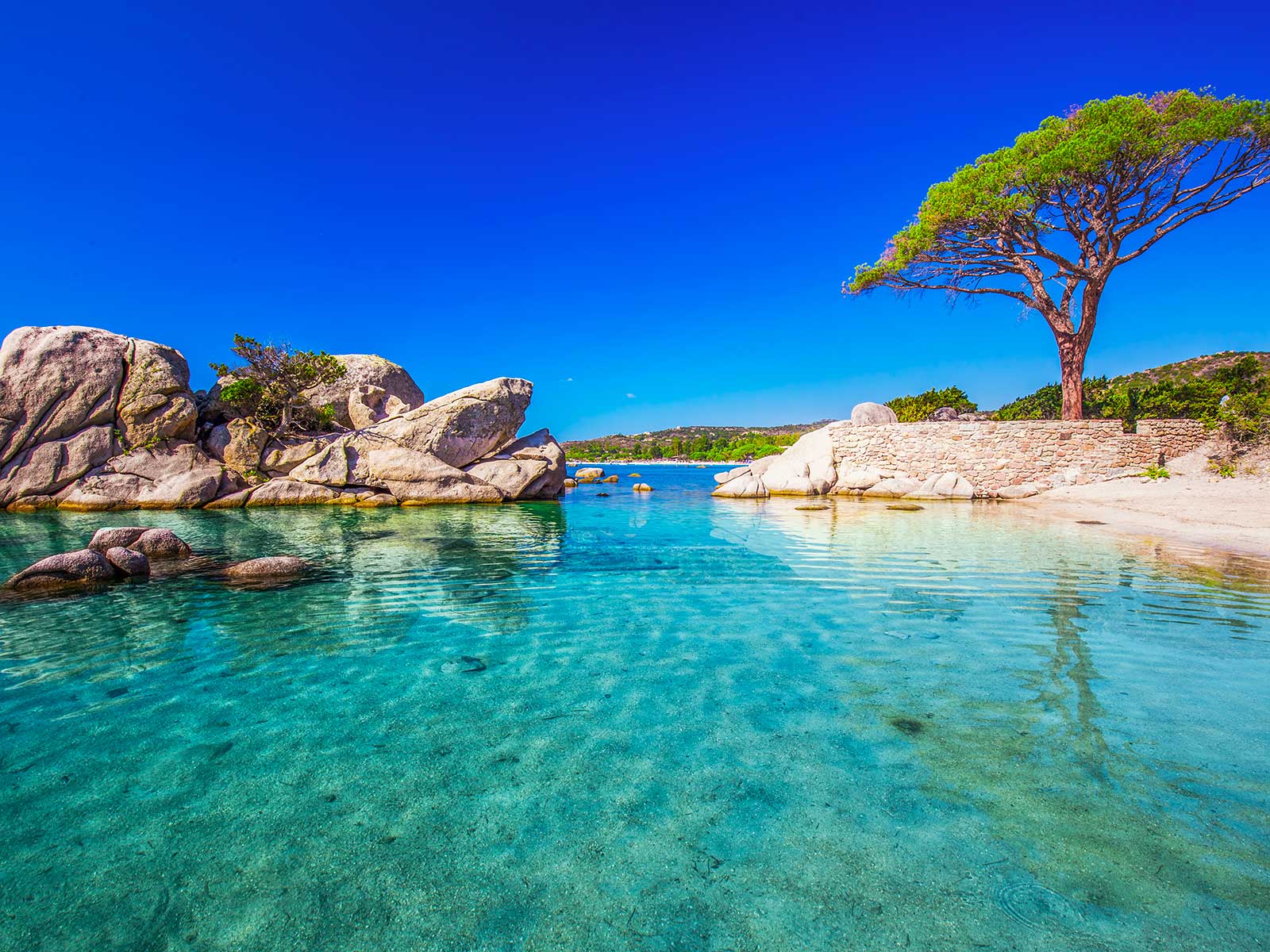 Playa de Palombaggia 1