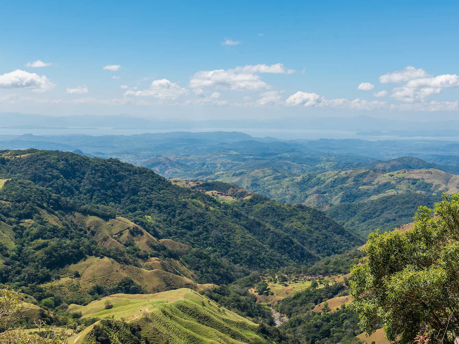 Reserva Biológica Bosque Nuboso Monteverde 1