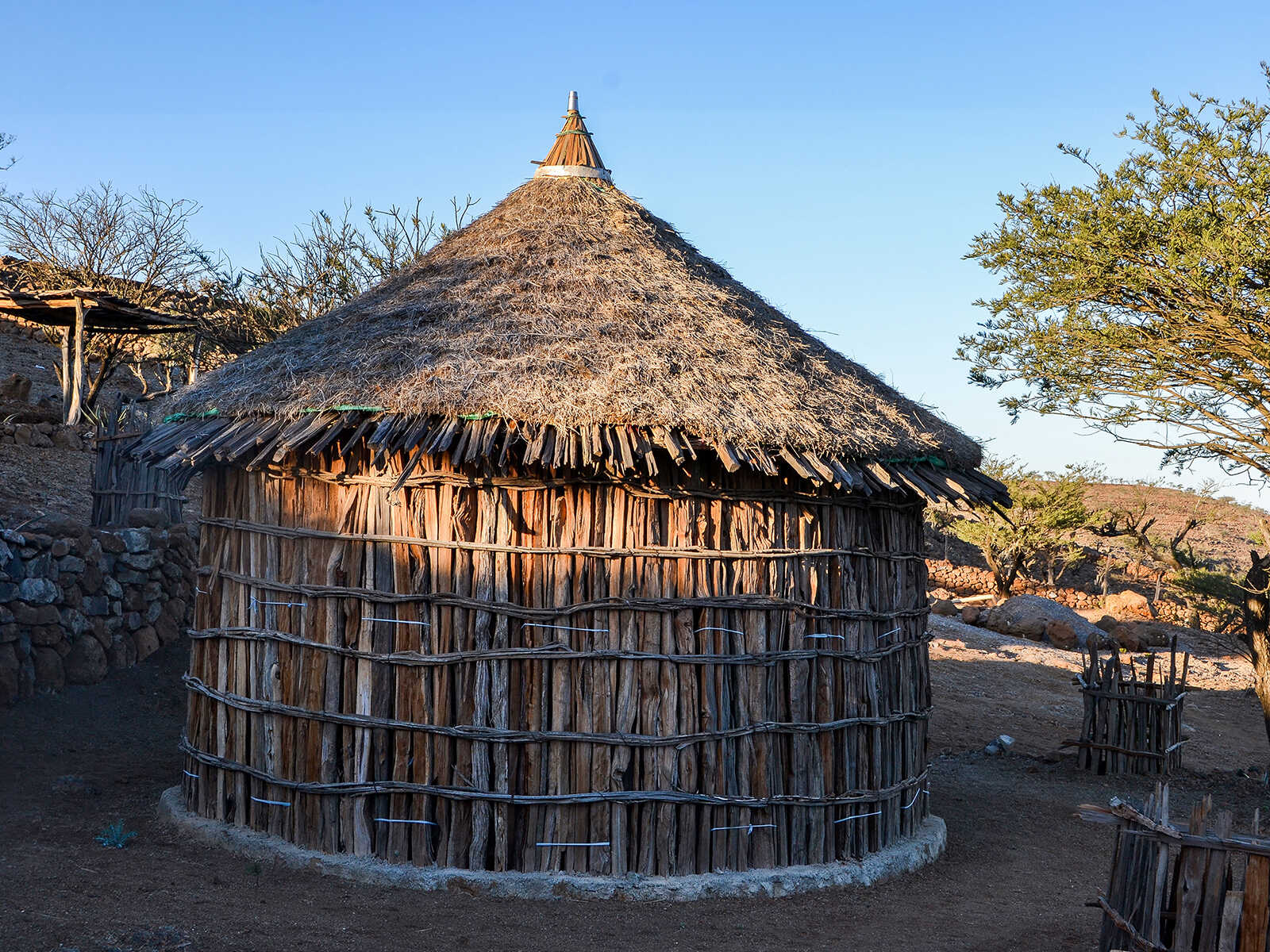 Parque Nacional Day Forest 1