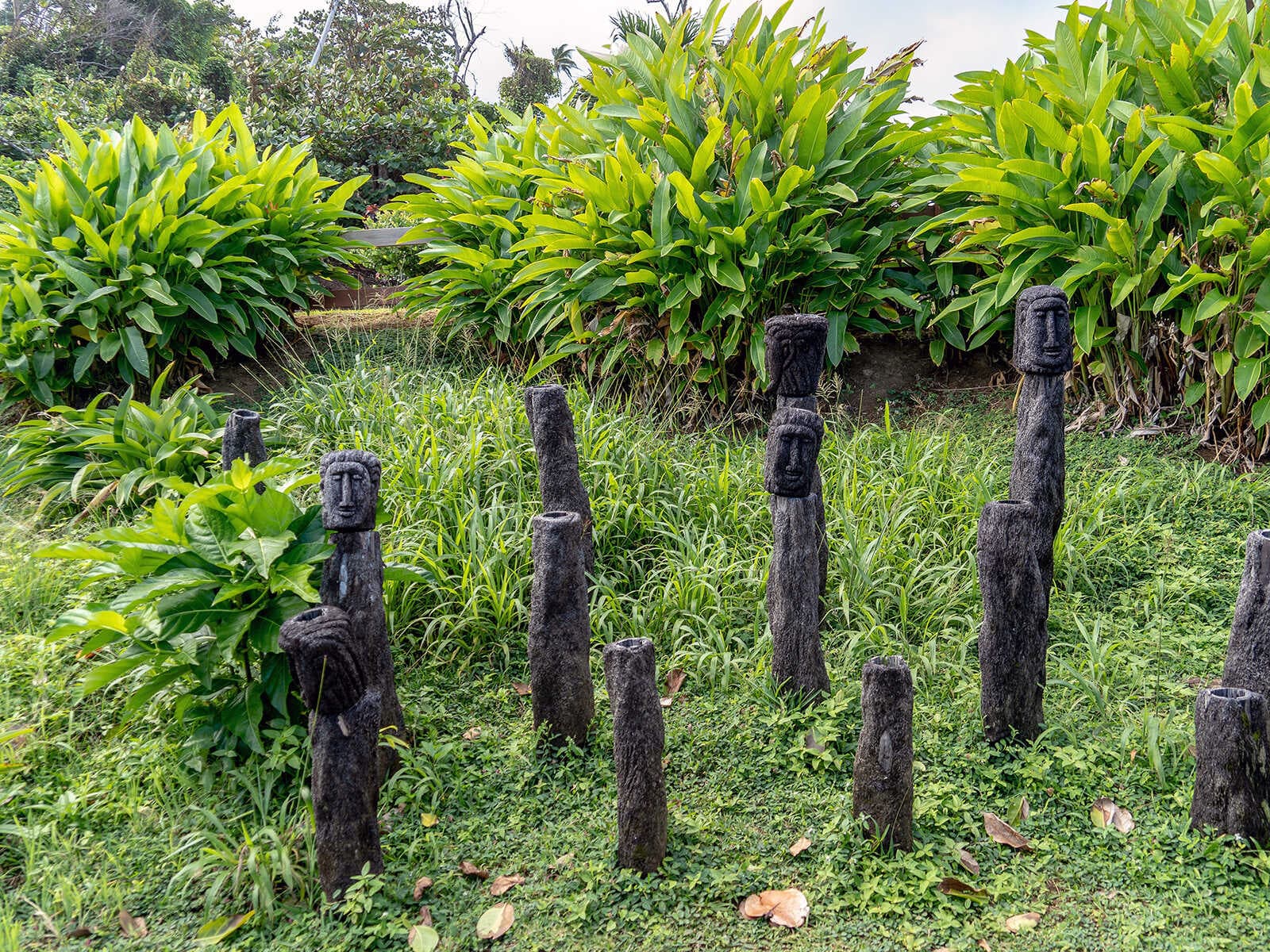 Kalinago Barana Aute 1