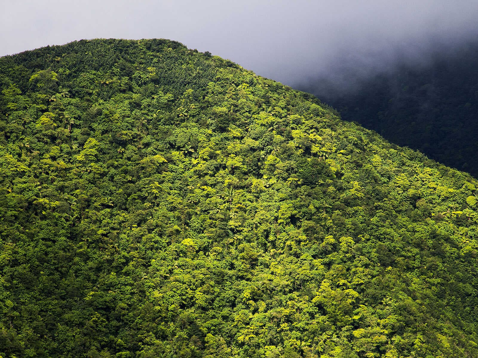 Cataratas de Trafalgar 2