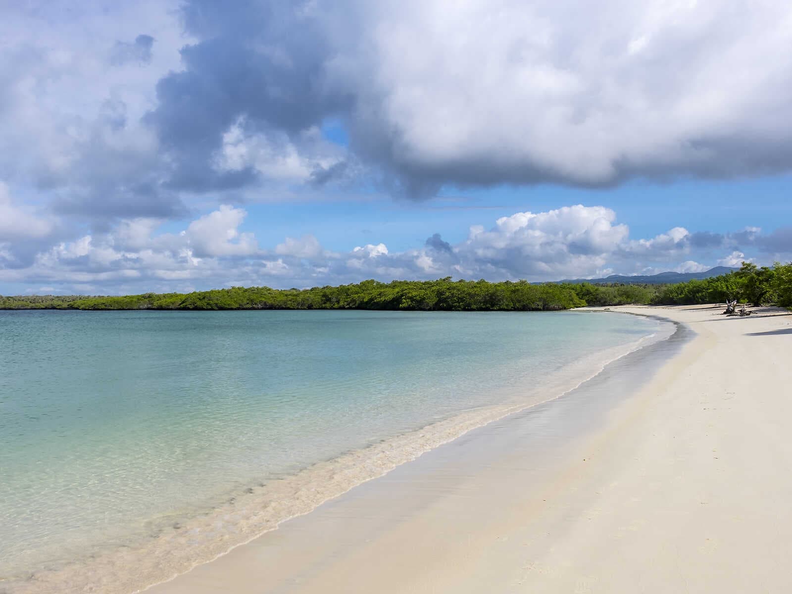 Playa de Galápagos en Bahía Tortuga