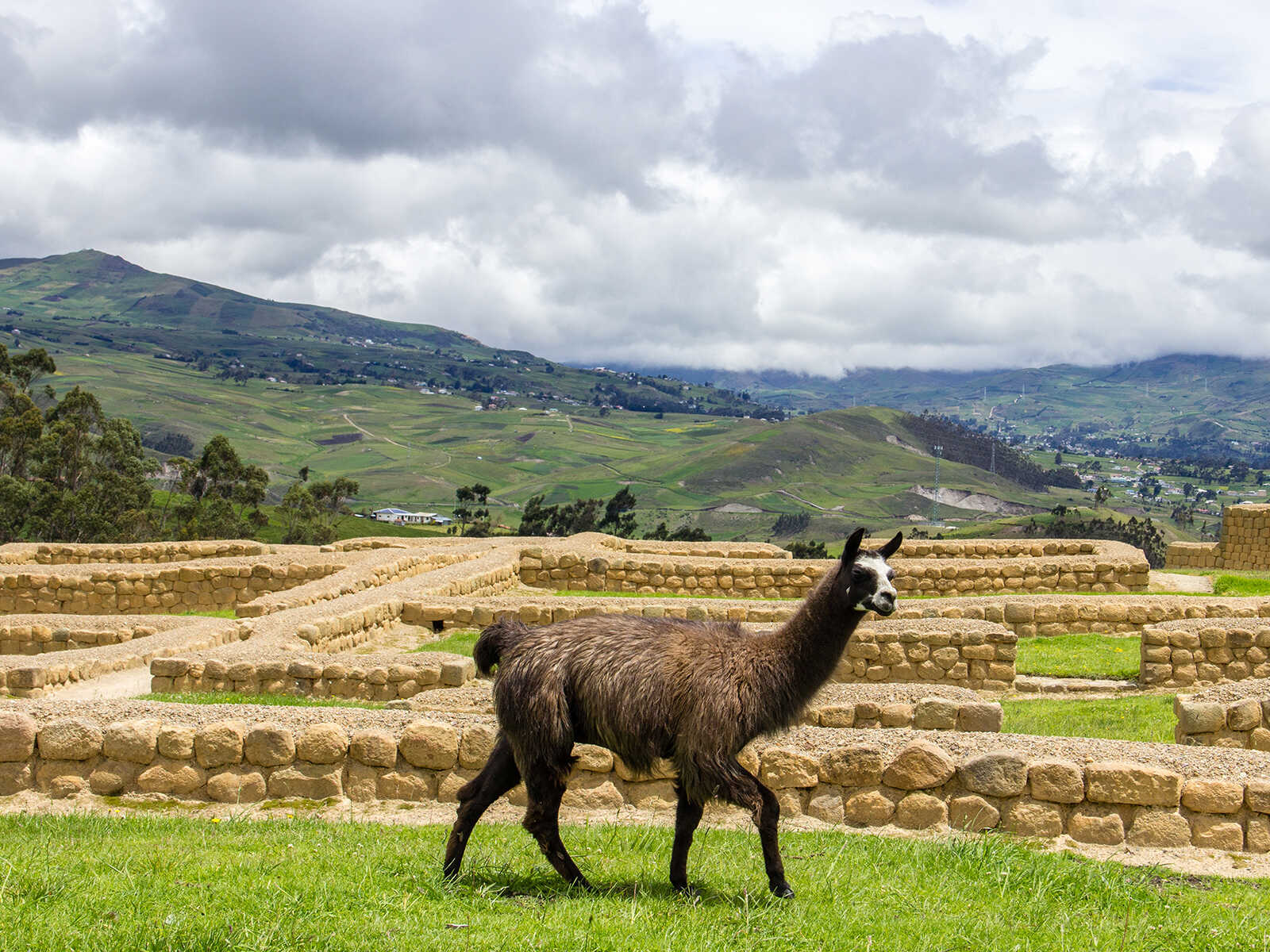 Ruinas de Ingapirca 1