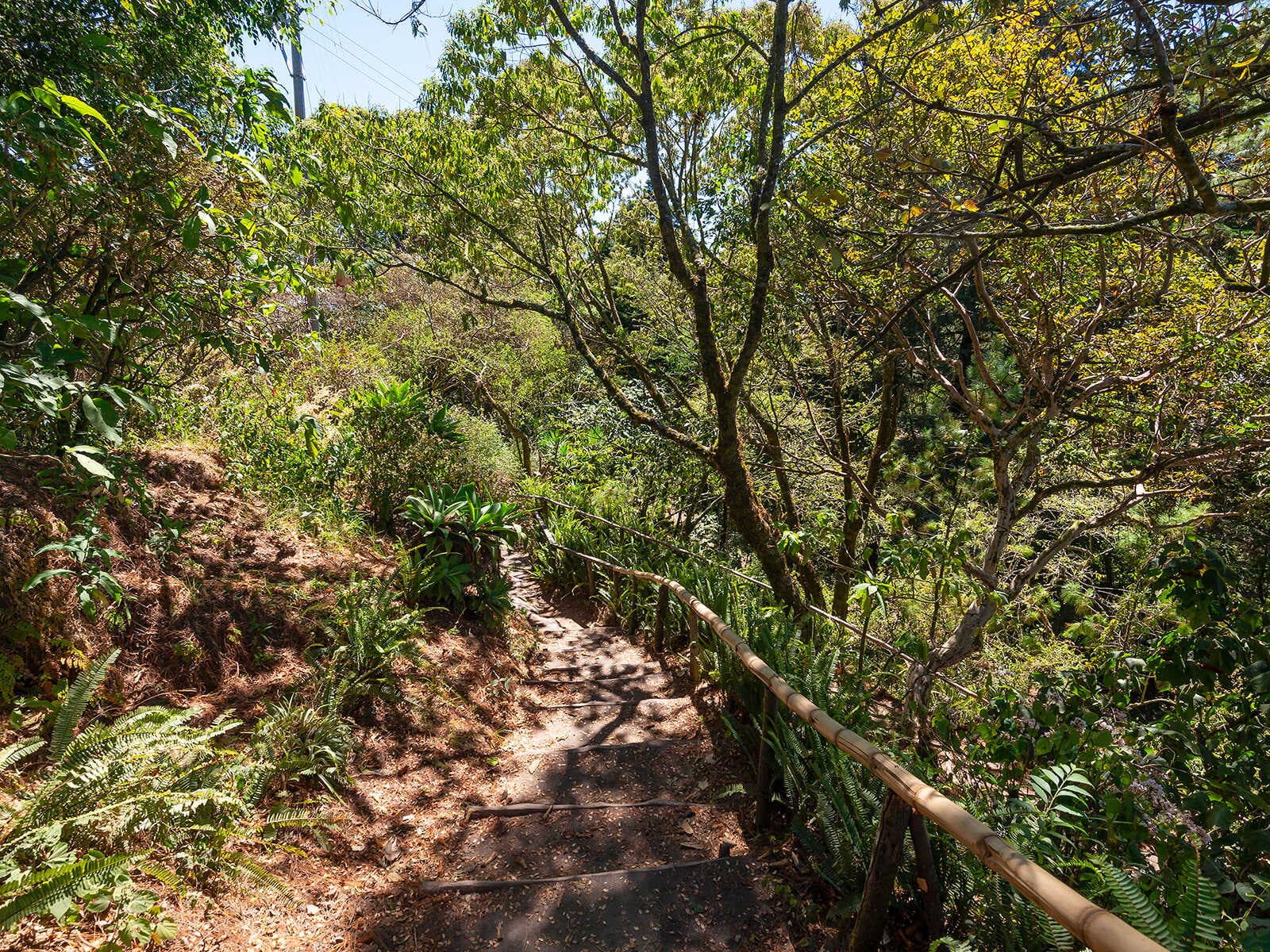 Parque Nacional El Boquerón