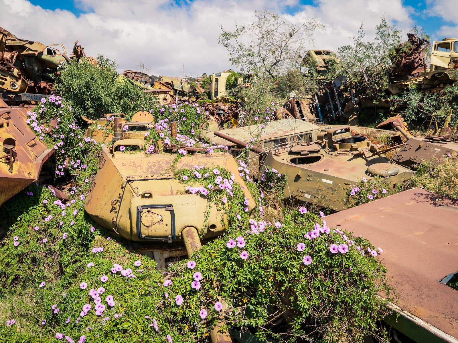 Cementerio de Tanques 1