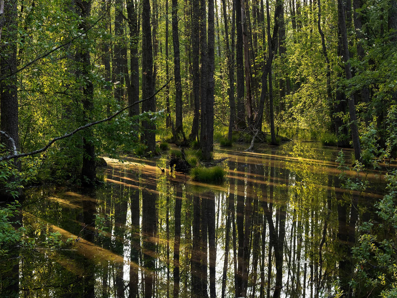 Parque Nacional Lahemaa 2