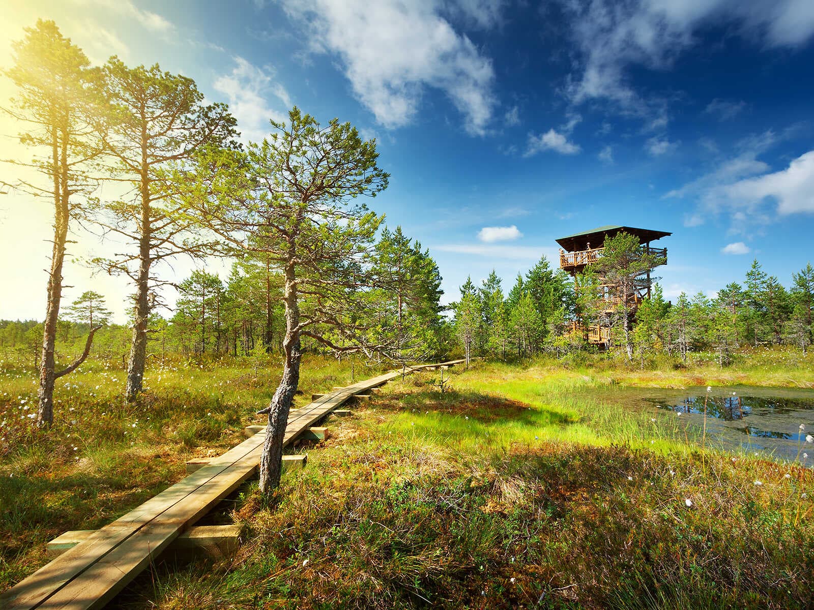 Parque Nacional Lahemaa