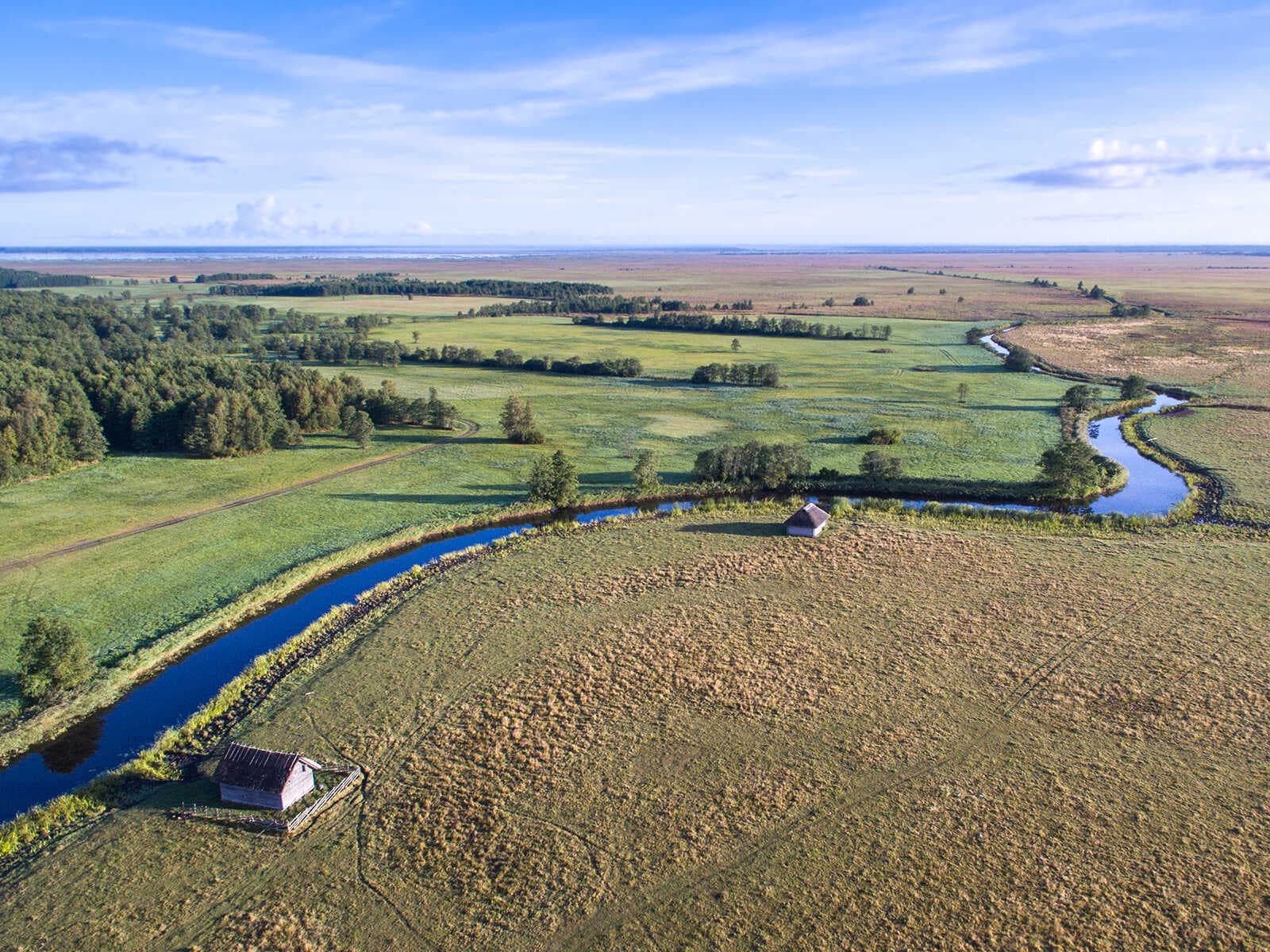 Parque Nacional Matsalu 1