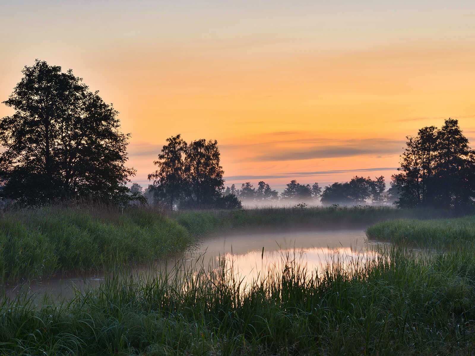 Parque Nacional Matsalu