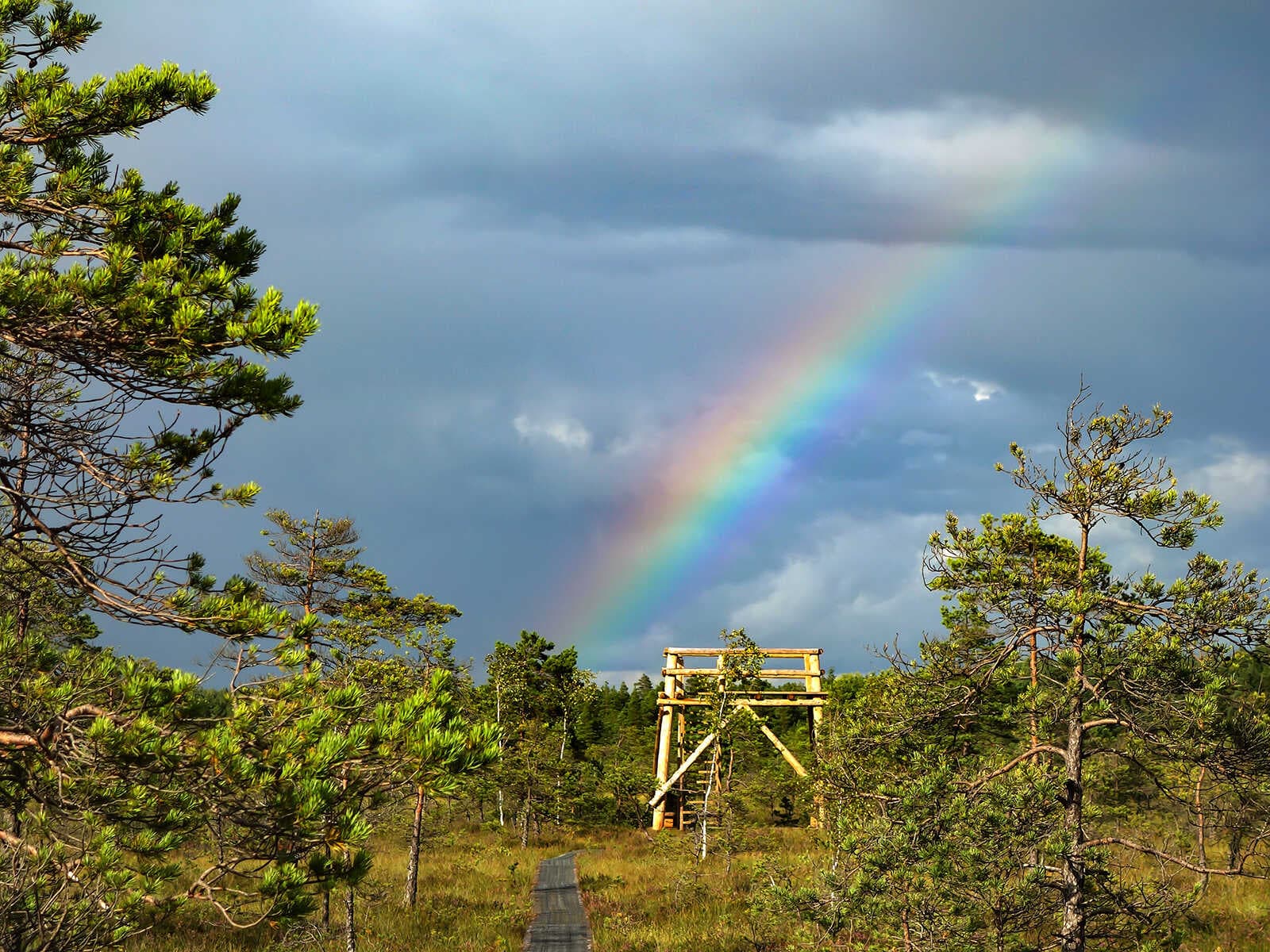 Parque Nacional Soomaa 1