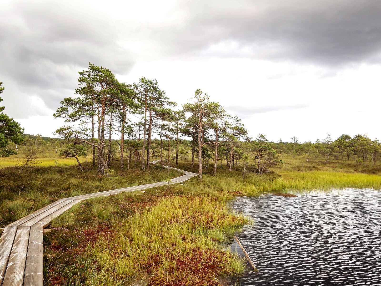 Parque Nacional Soomaa