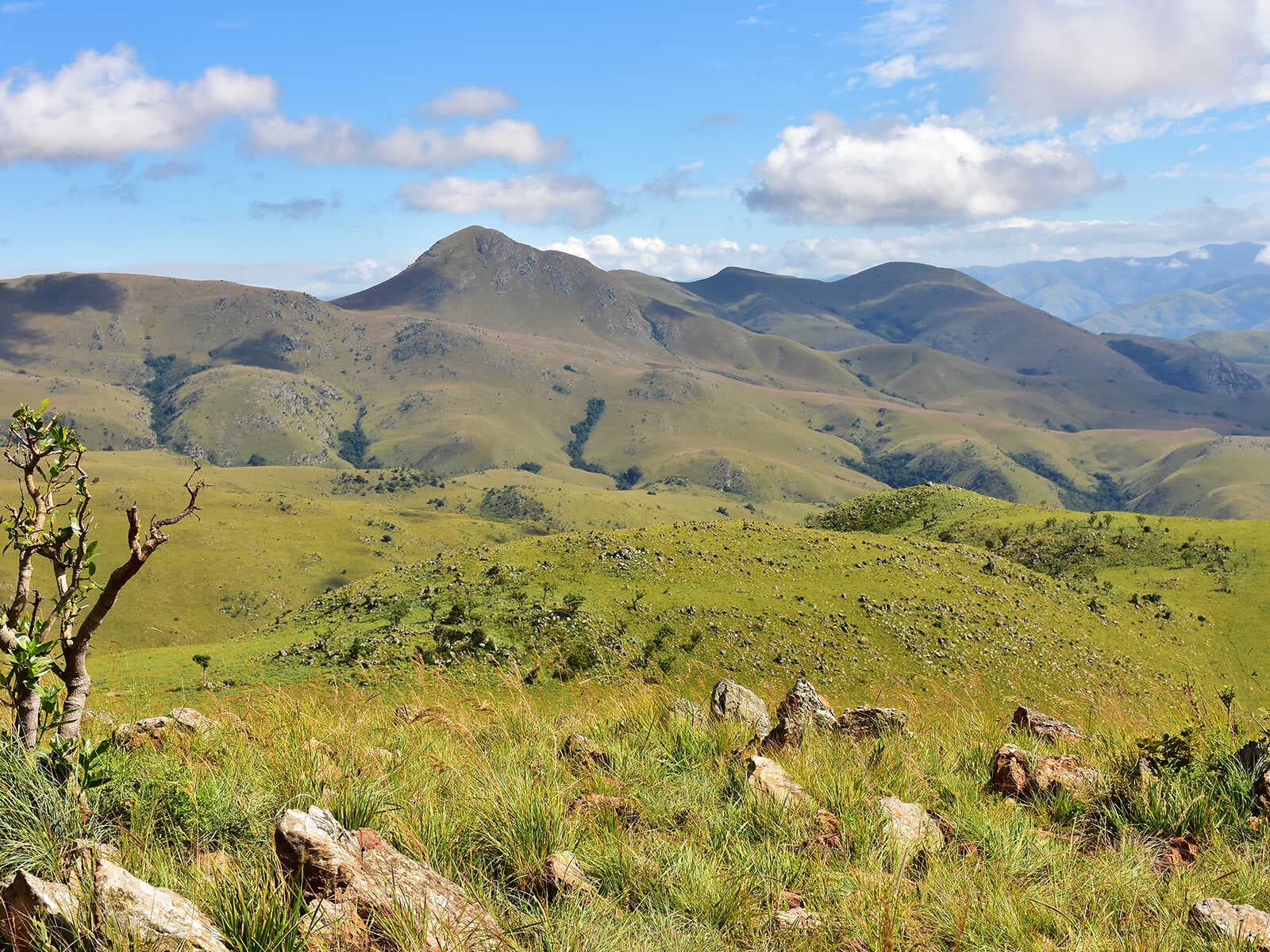 Parque Nacional Hlane 2