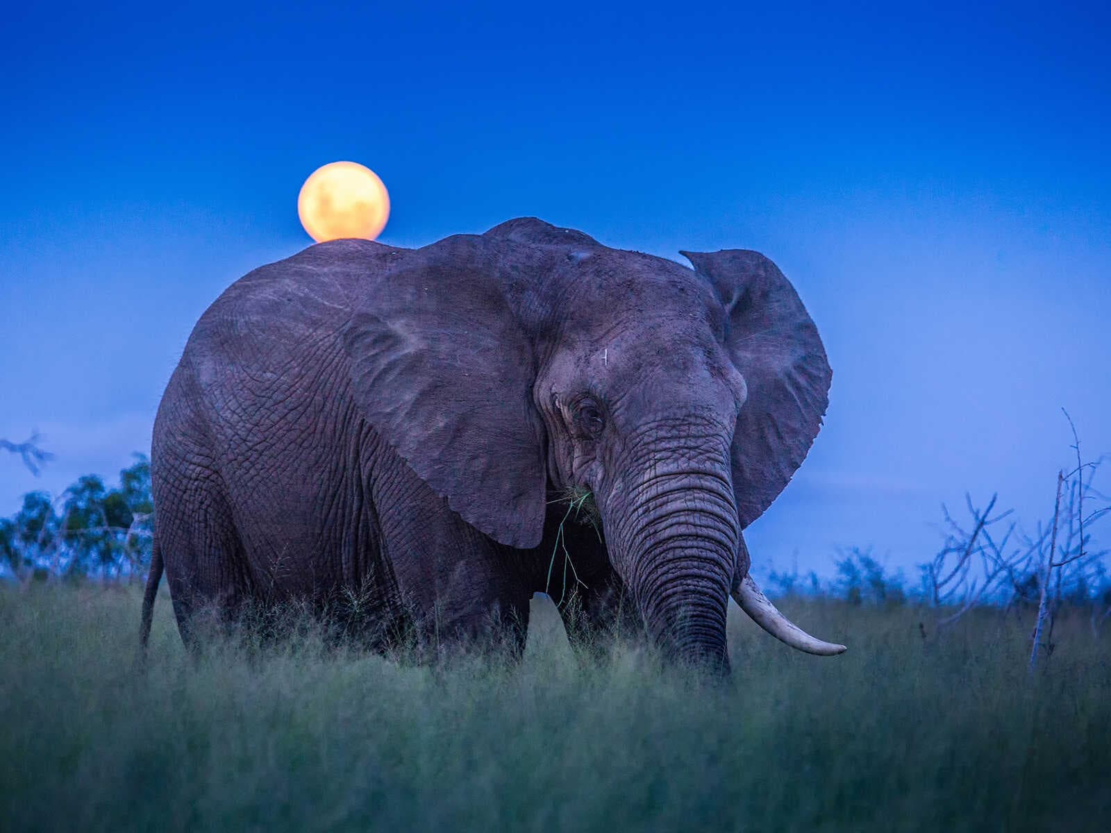 Parque Nacional Hlane