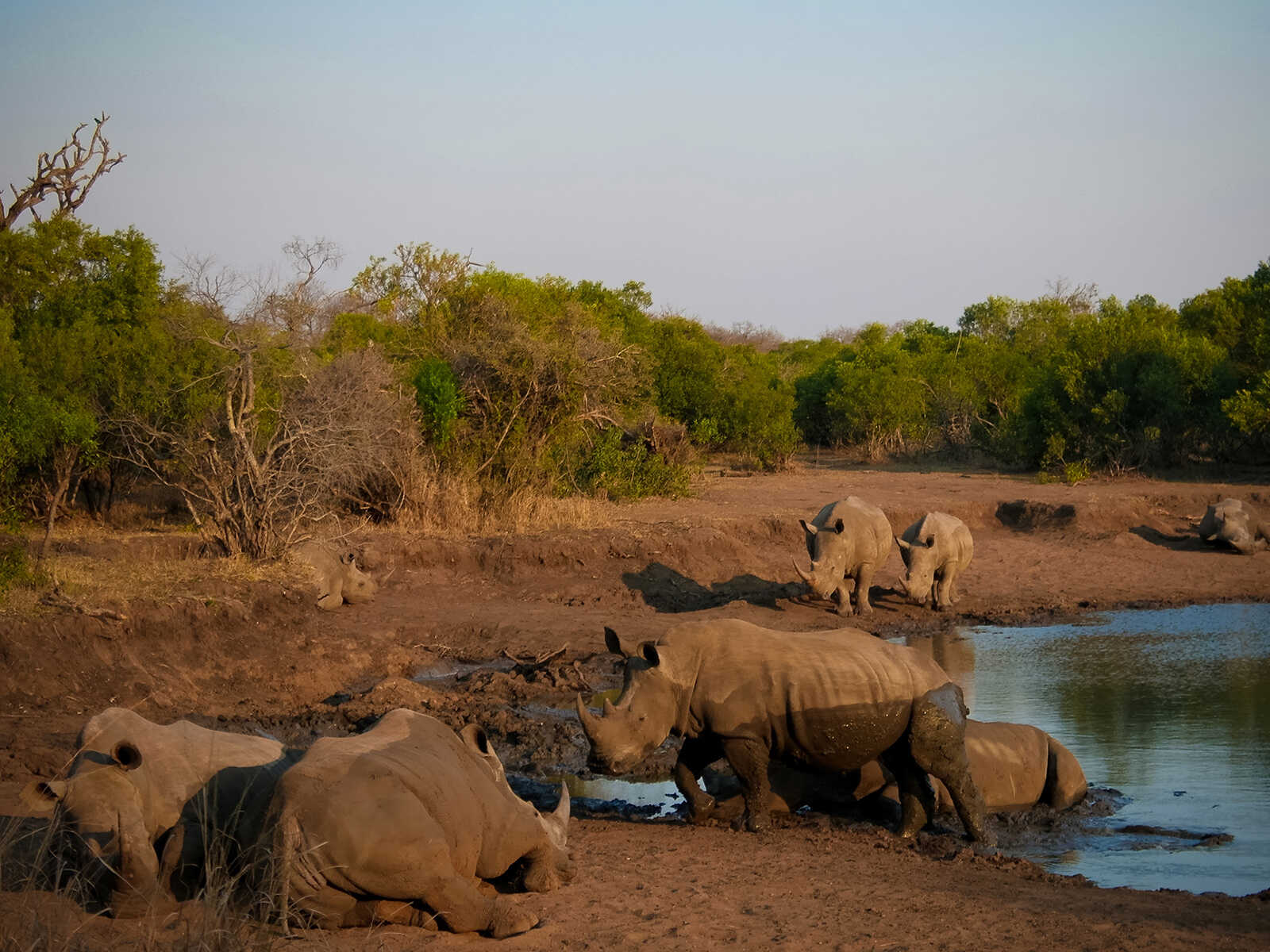 Reserva de Caza Mkhaya