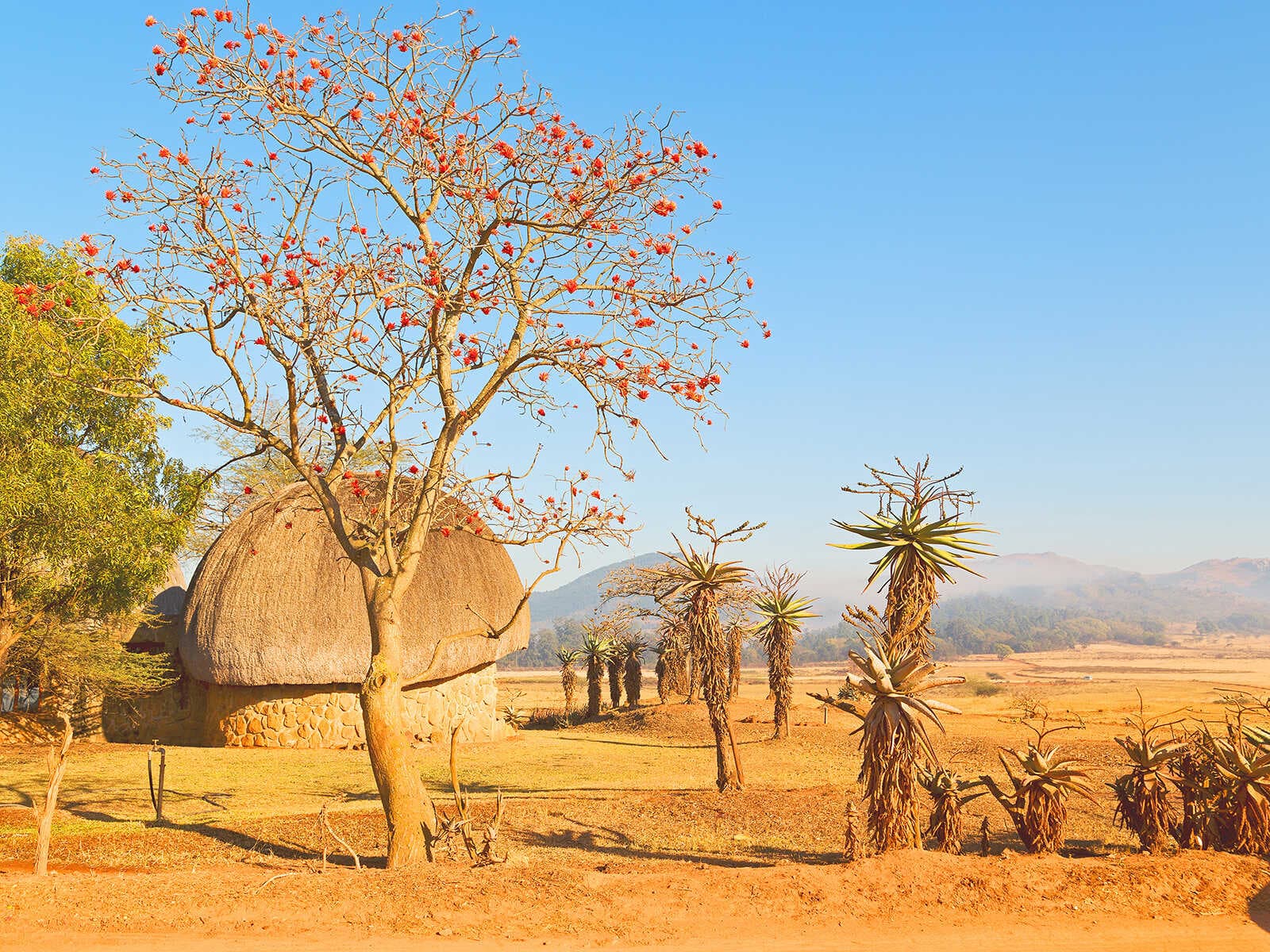 Santuario de Vida Silvestre Mlilwane