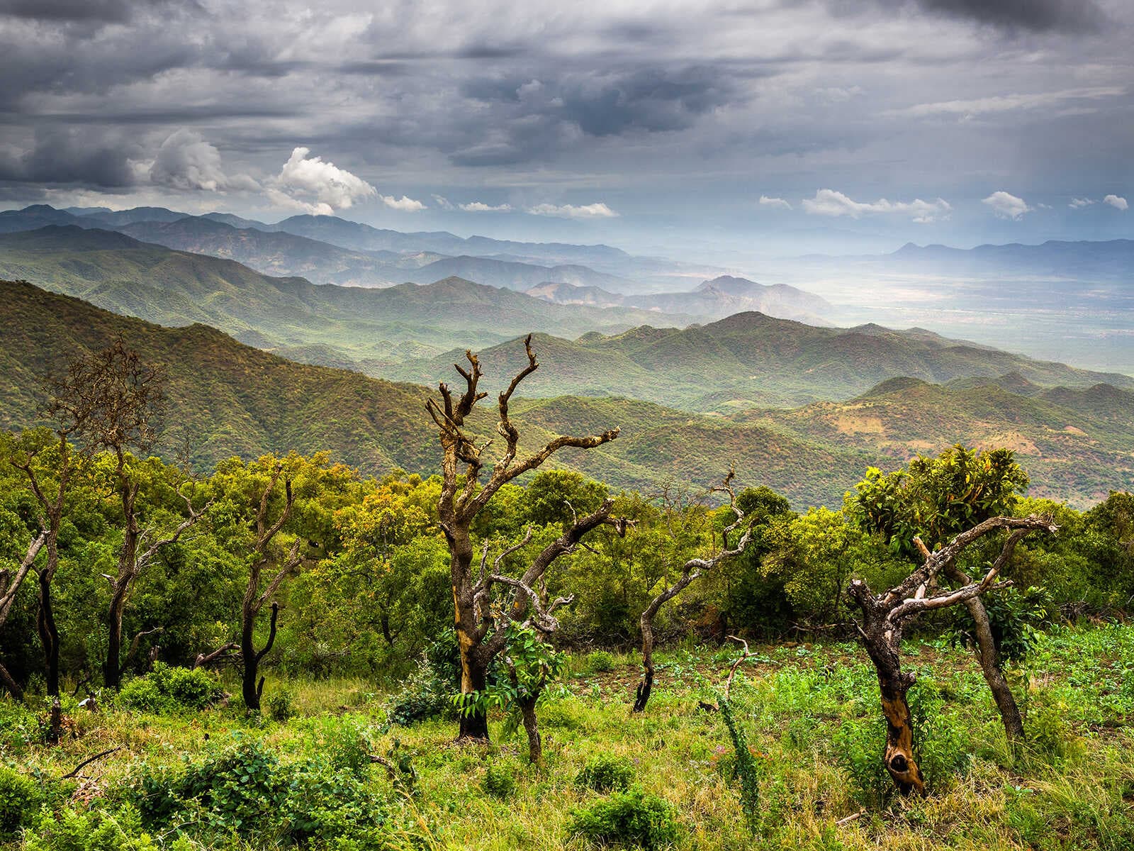 Gran Valle del Rift 1