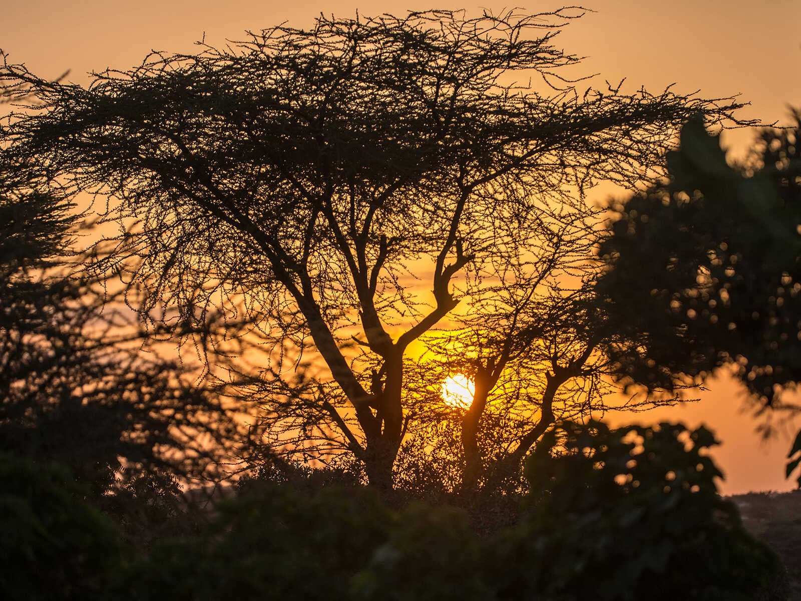 Parque Nacional Omo 1