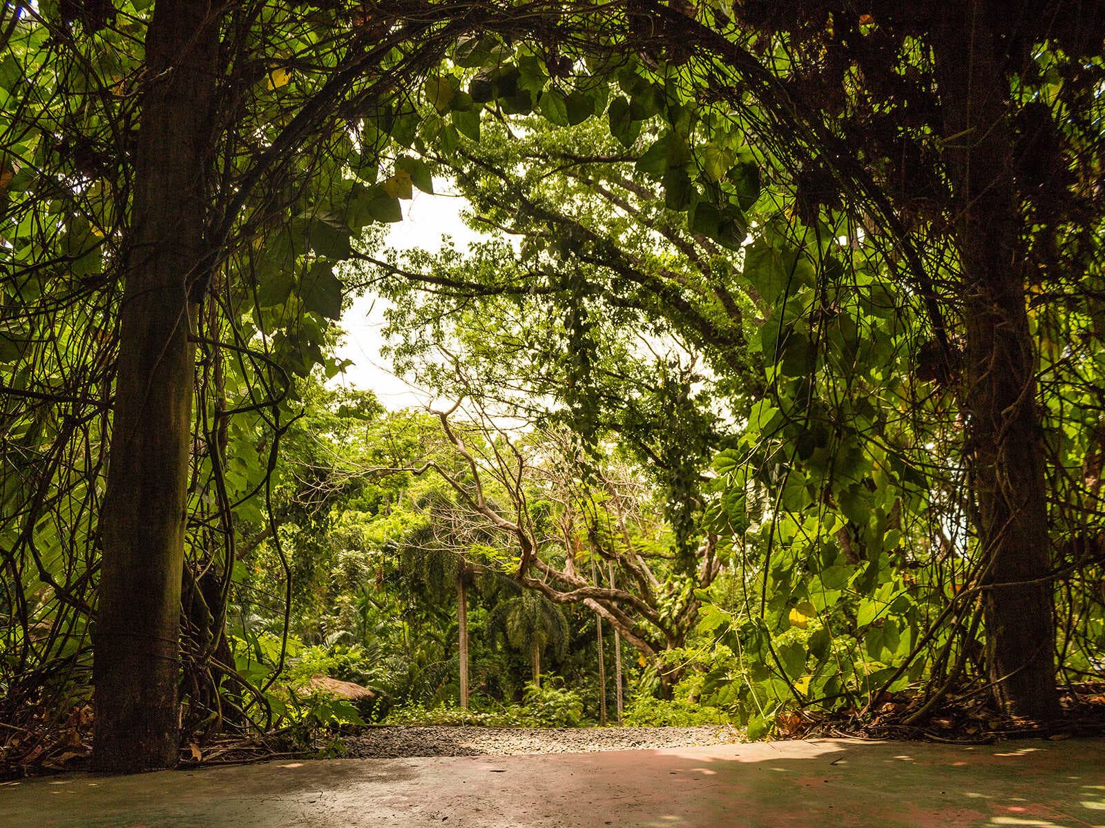 Jardín del Gigante Dormido