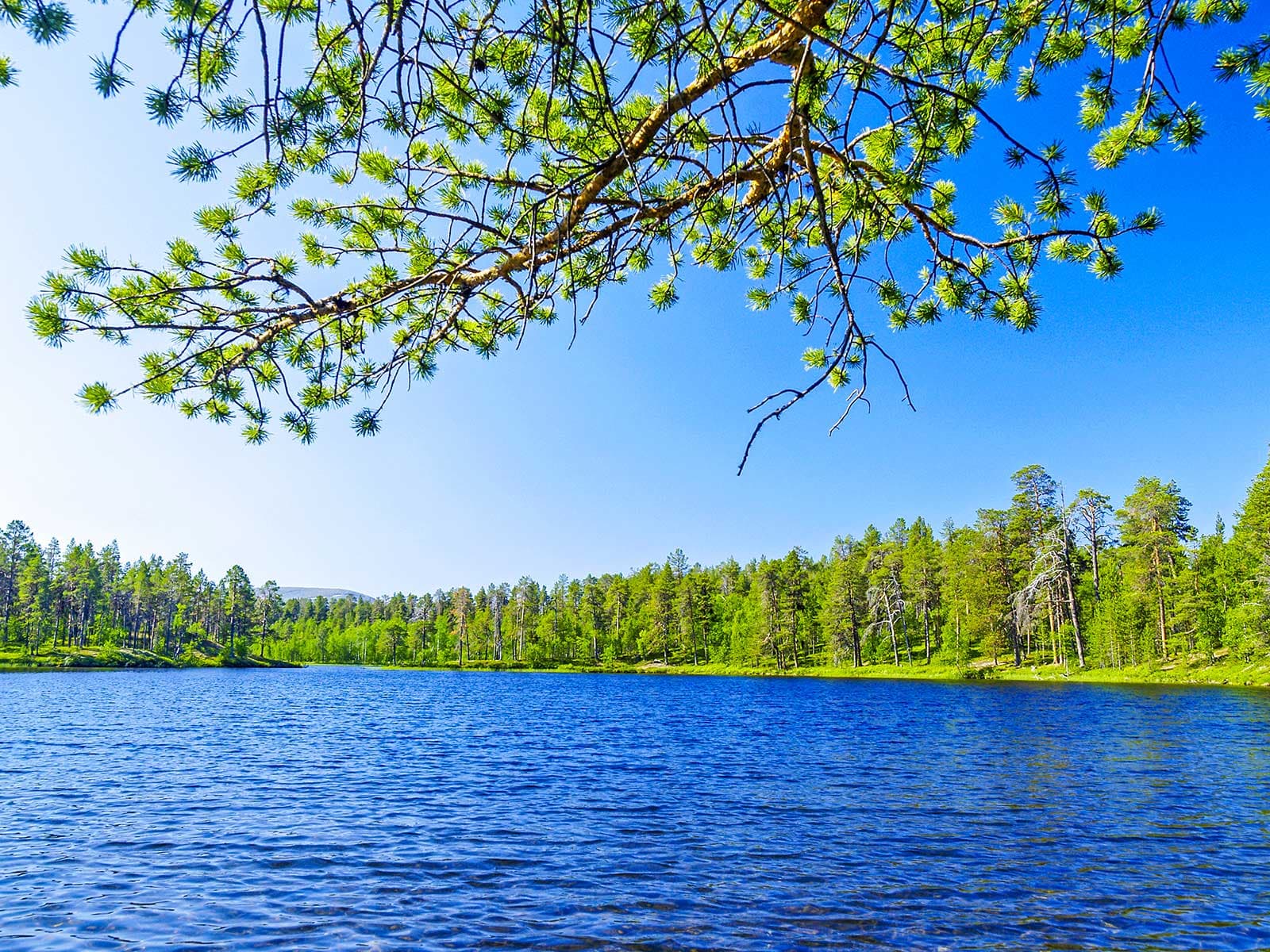 Parque Nacional Lemmenjoki 1