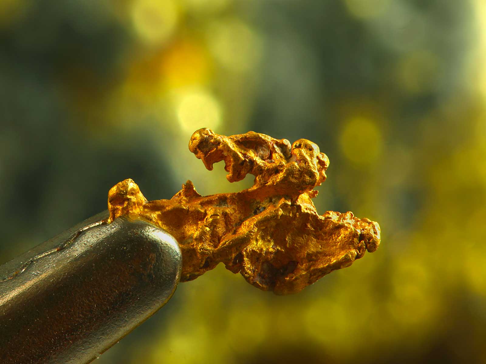 Parque Nacional Lemmenjoki 3