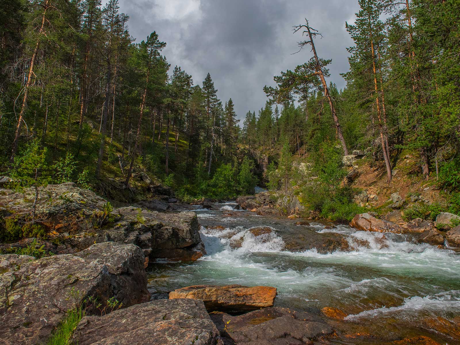 Parque Nacional Lemmenjoki