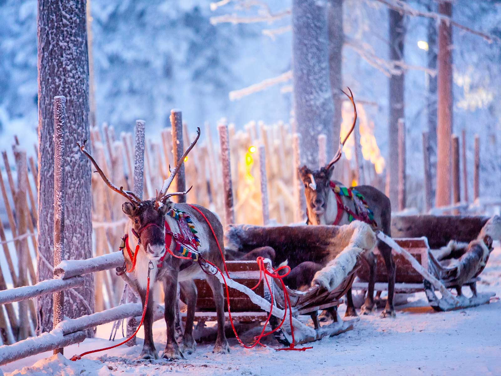 Rovaniemi - Provincia de Laponia 1