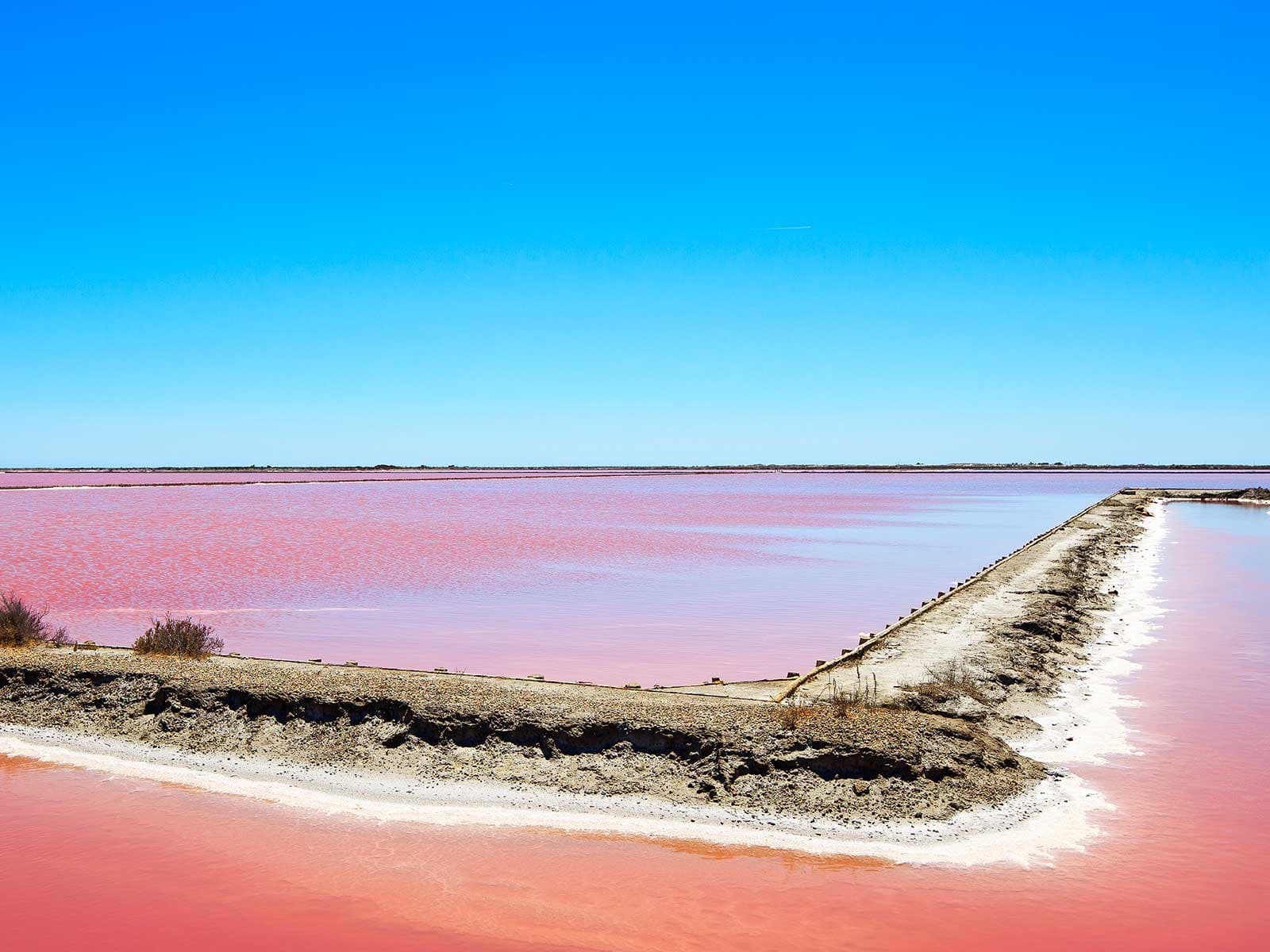 Parque Regional de Camarga 1