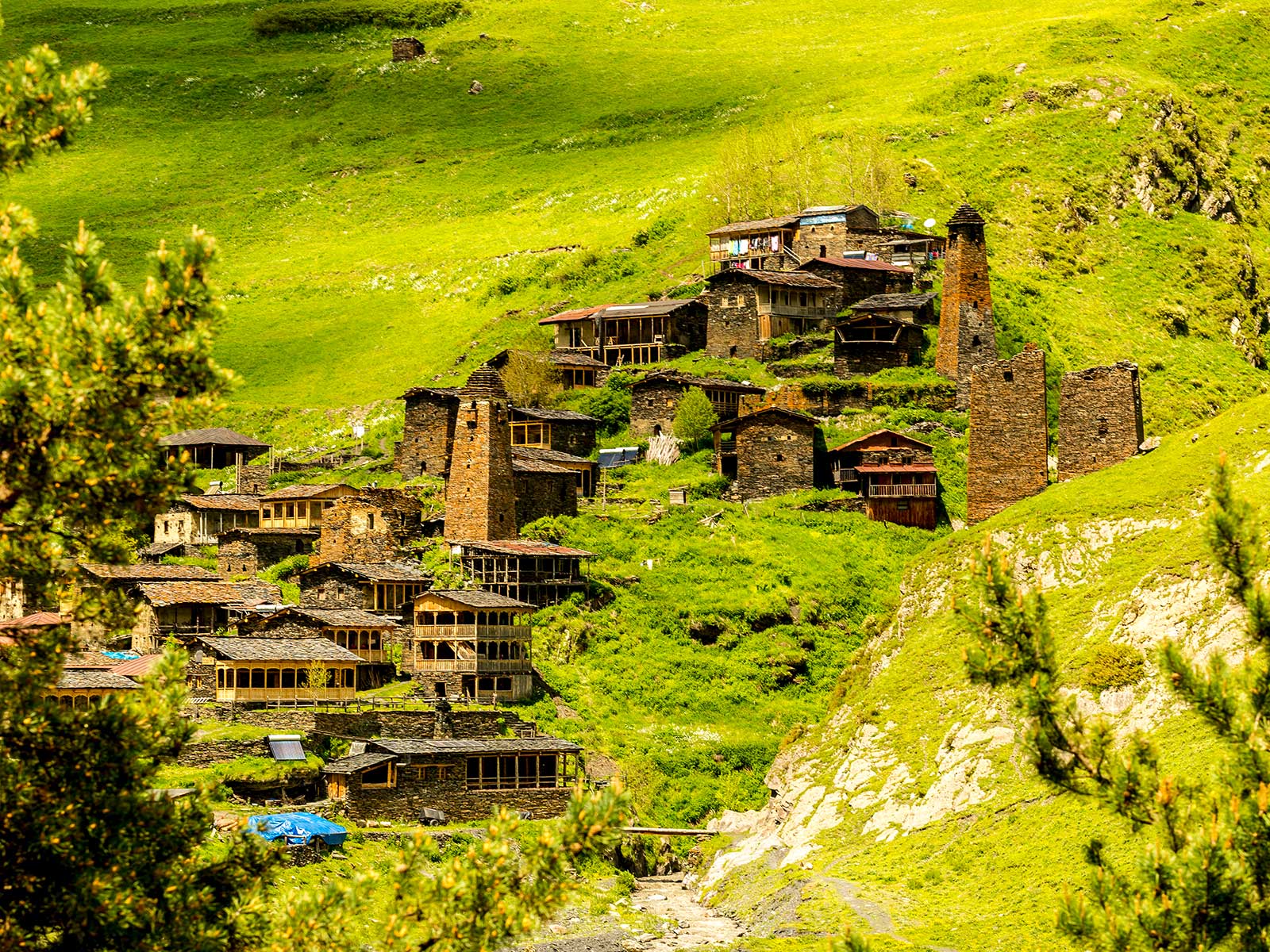Parque Nacional de Tusheti 1