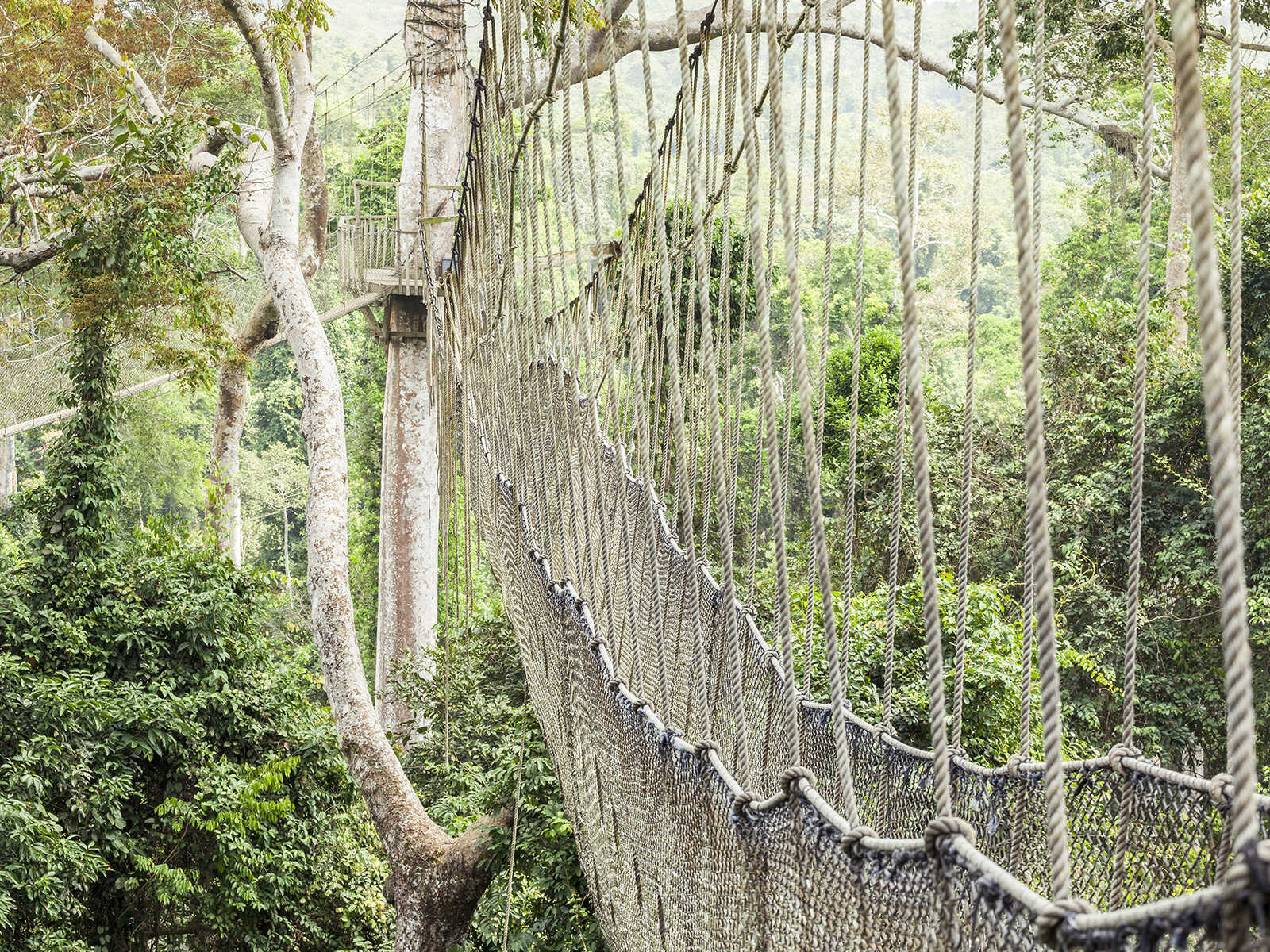 Parque Nacional Kakum