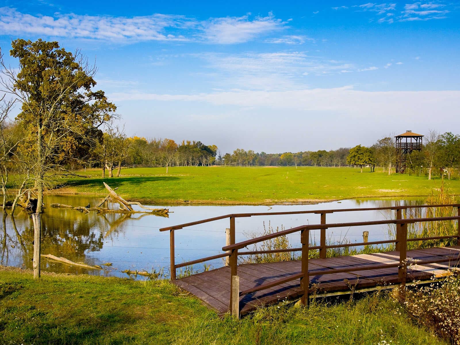 Parque Nacional Hortobágyi 1