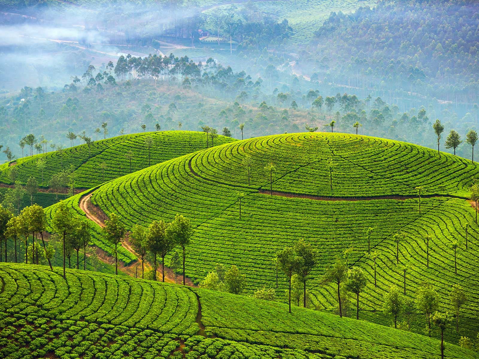Munnar