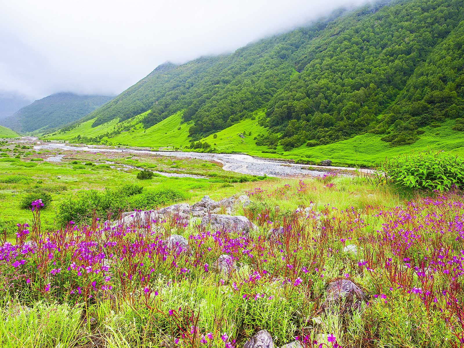 Valle de las Flores 1