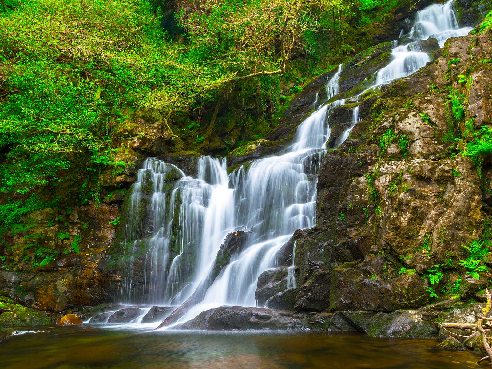 Parque Nacional de Killarney 2