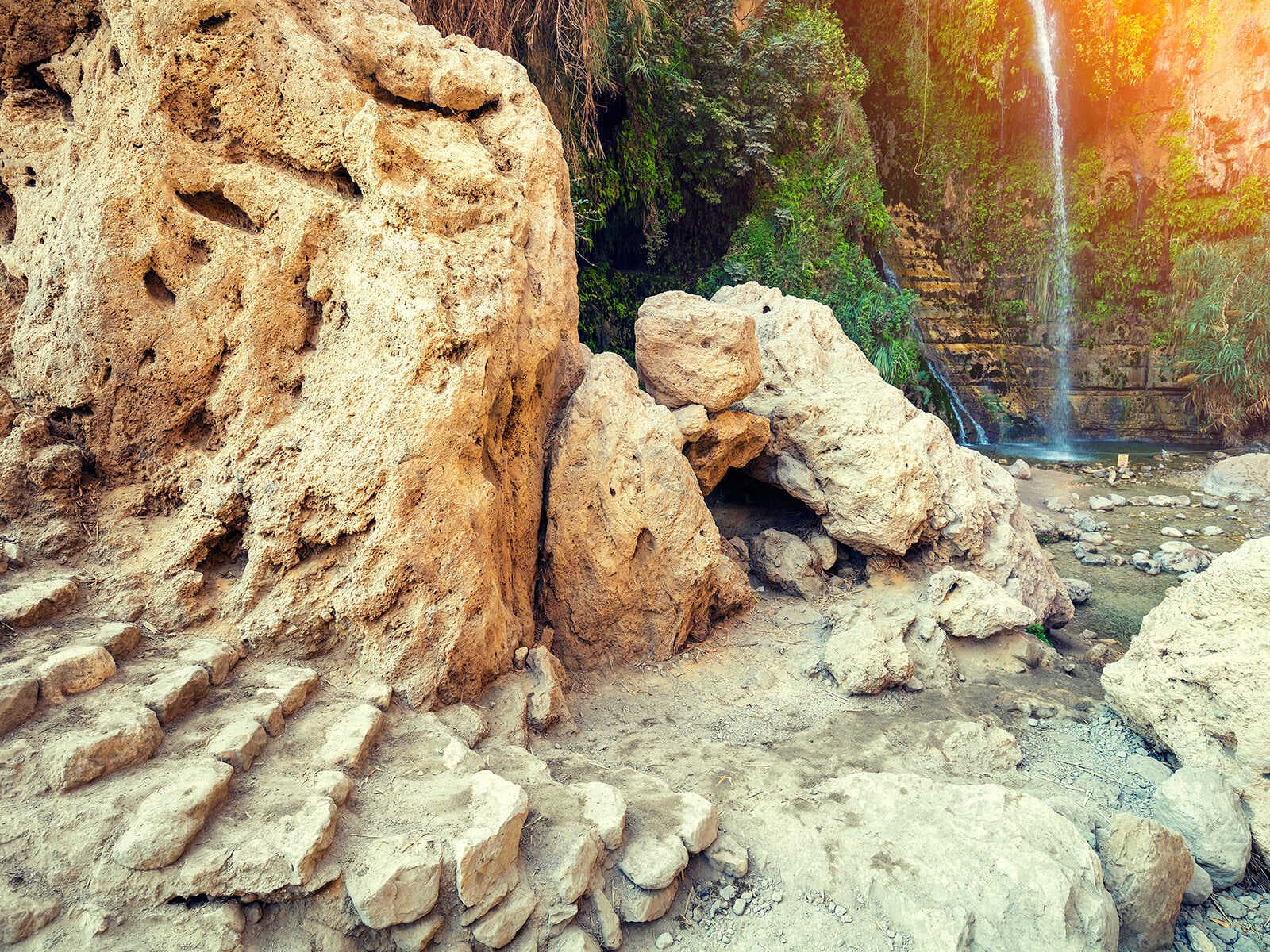 Reserva Ein Gedi 1
