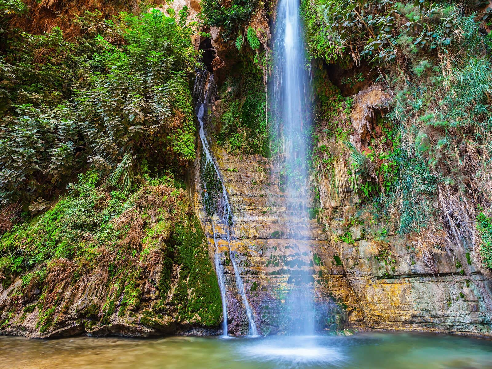 Reserva Ein Gedi