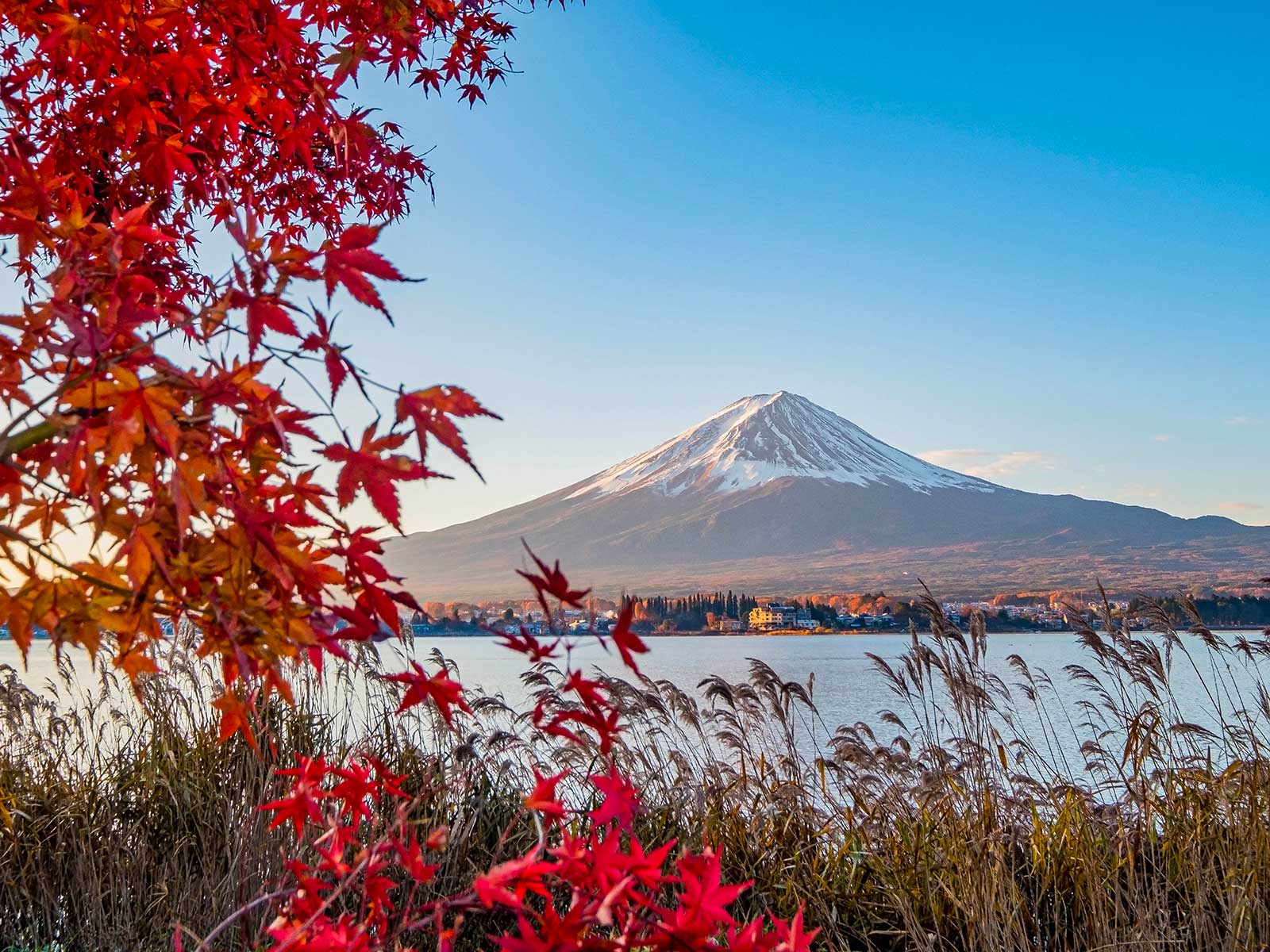 Monte Fuji