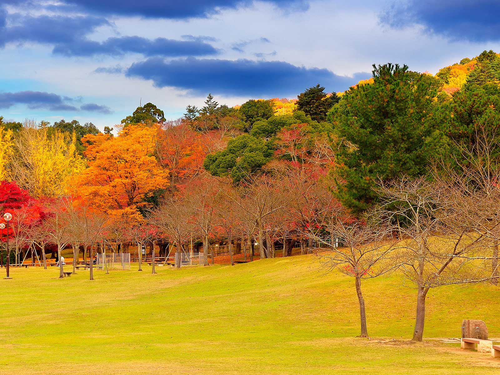 Parque de los Ciervos de Nara