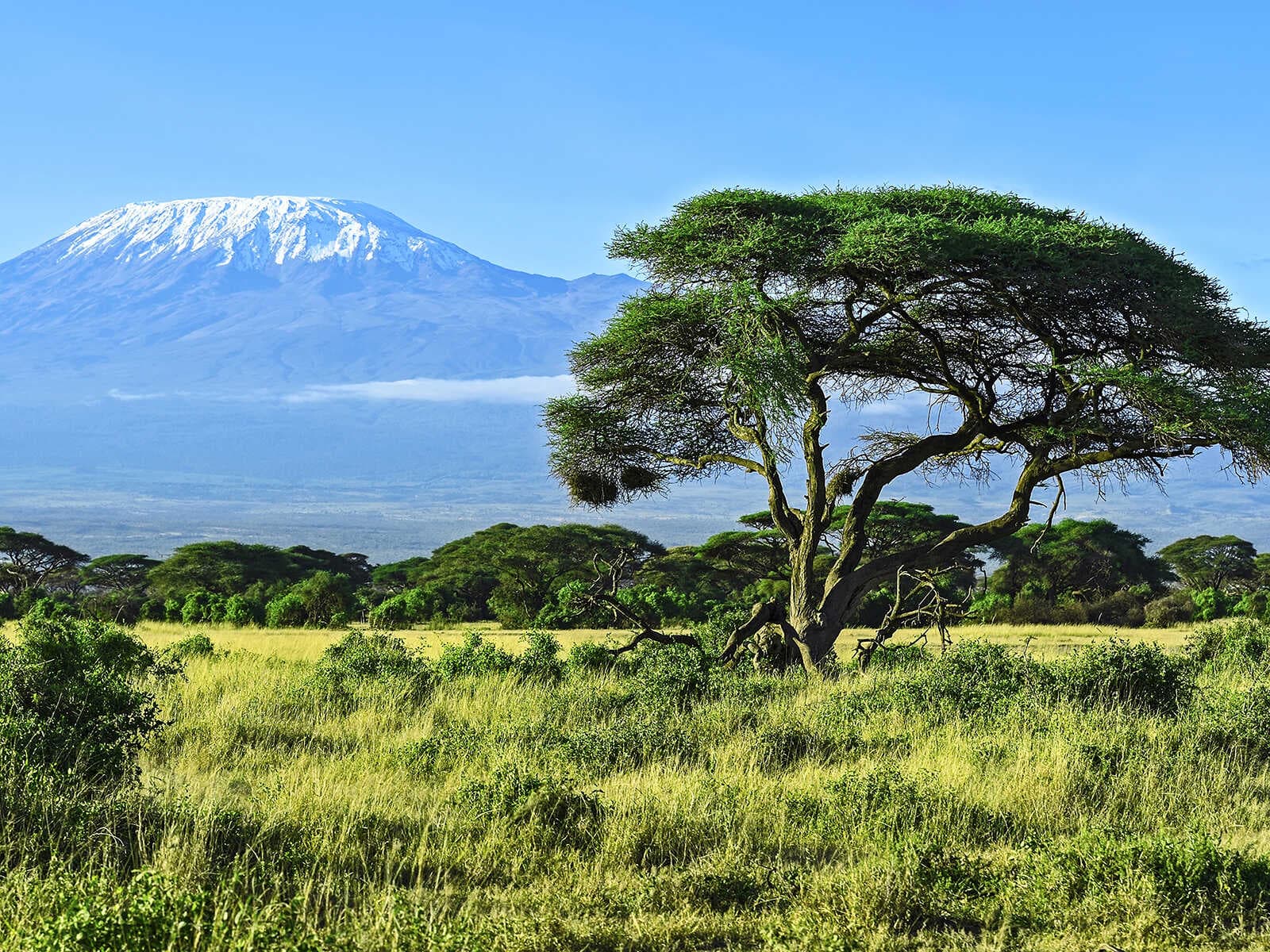Parque Nacional Amboseli 2