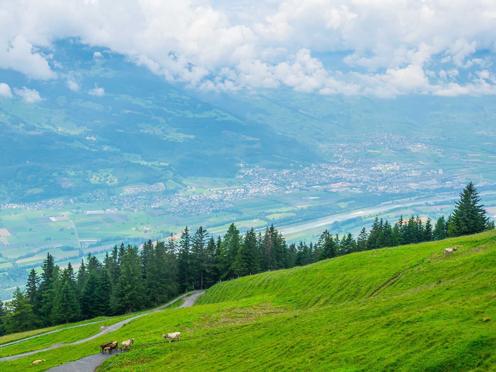 Sendero Fürstensteig
