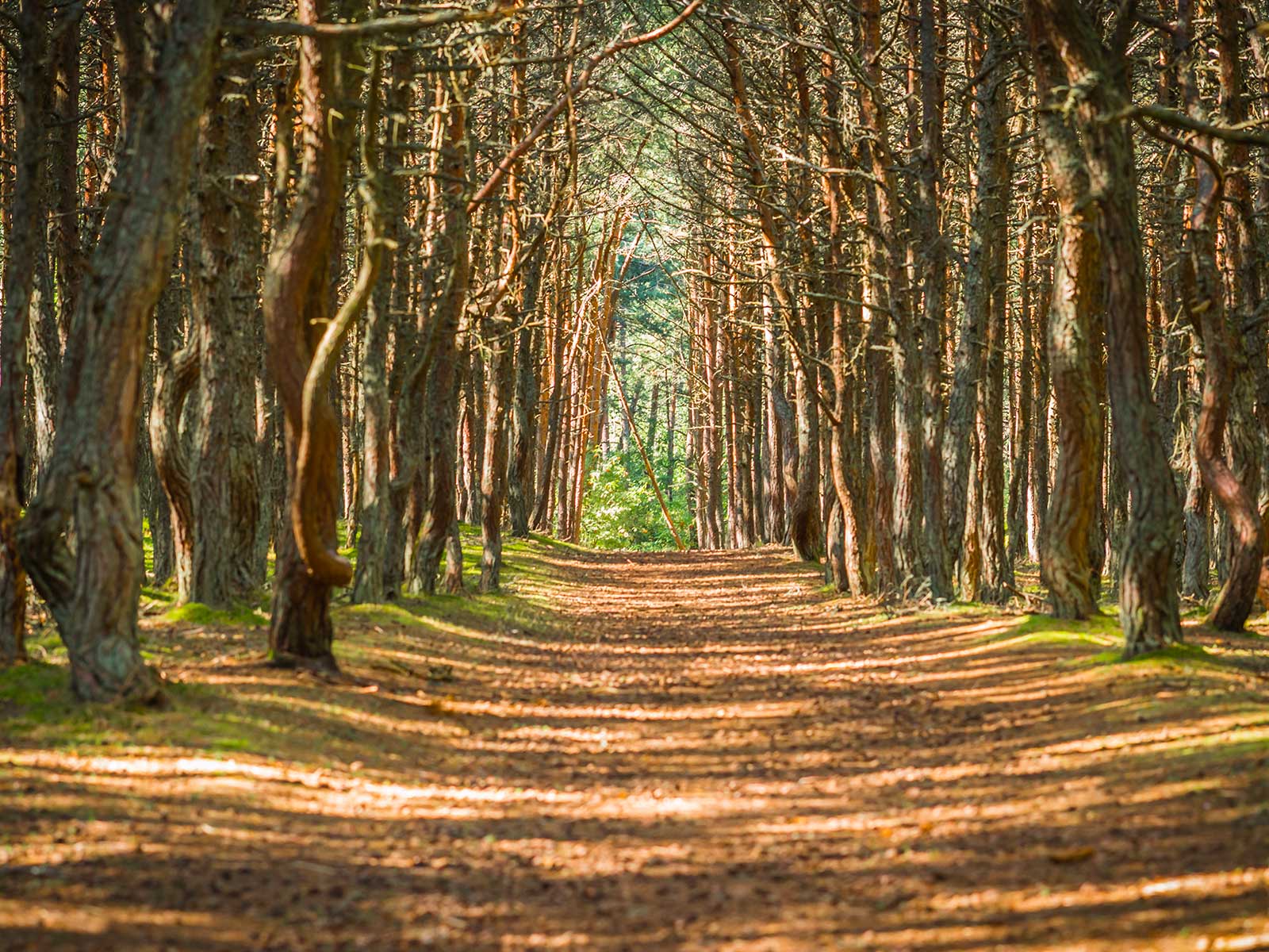 Parque Nacional del Istmo de Curlandia 2
