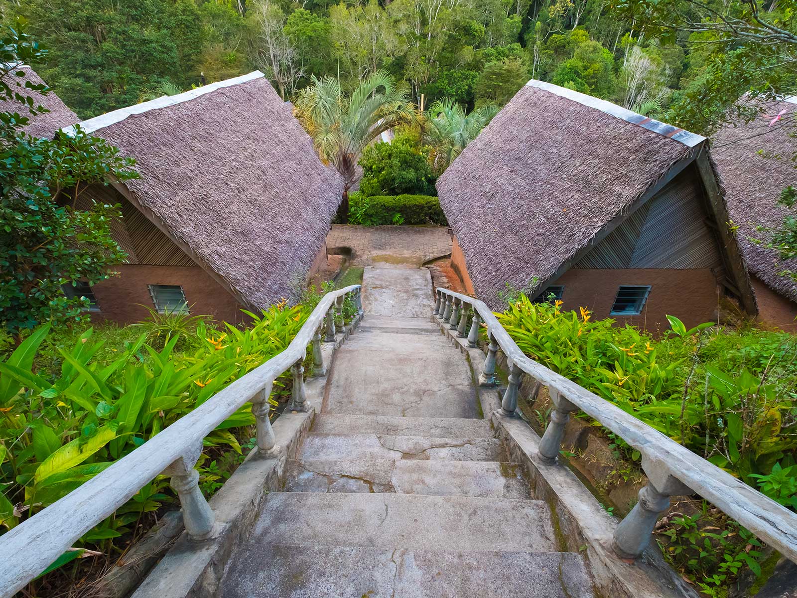 Parque Nacional Andasibe-Mantadia 2