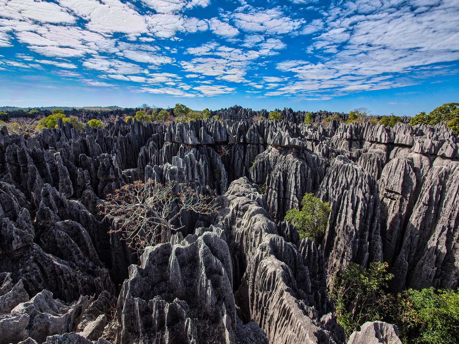 Tsingy de Bemaraha 2