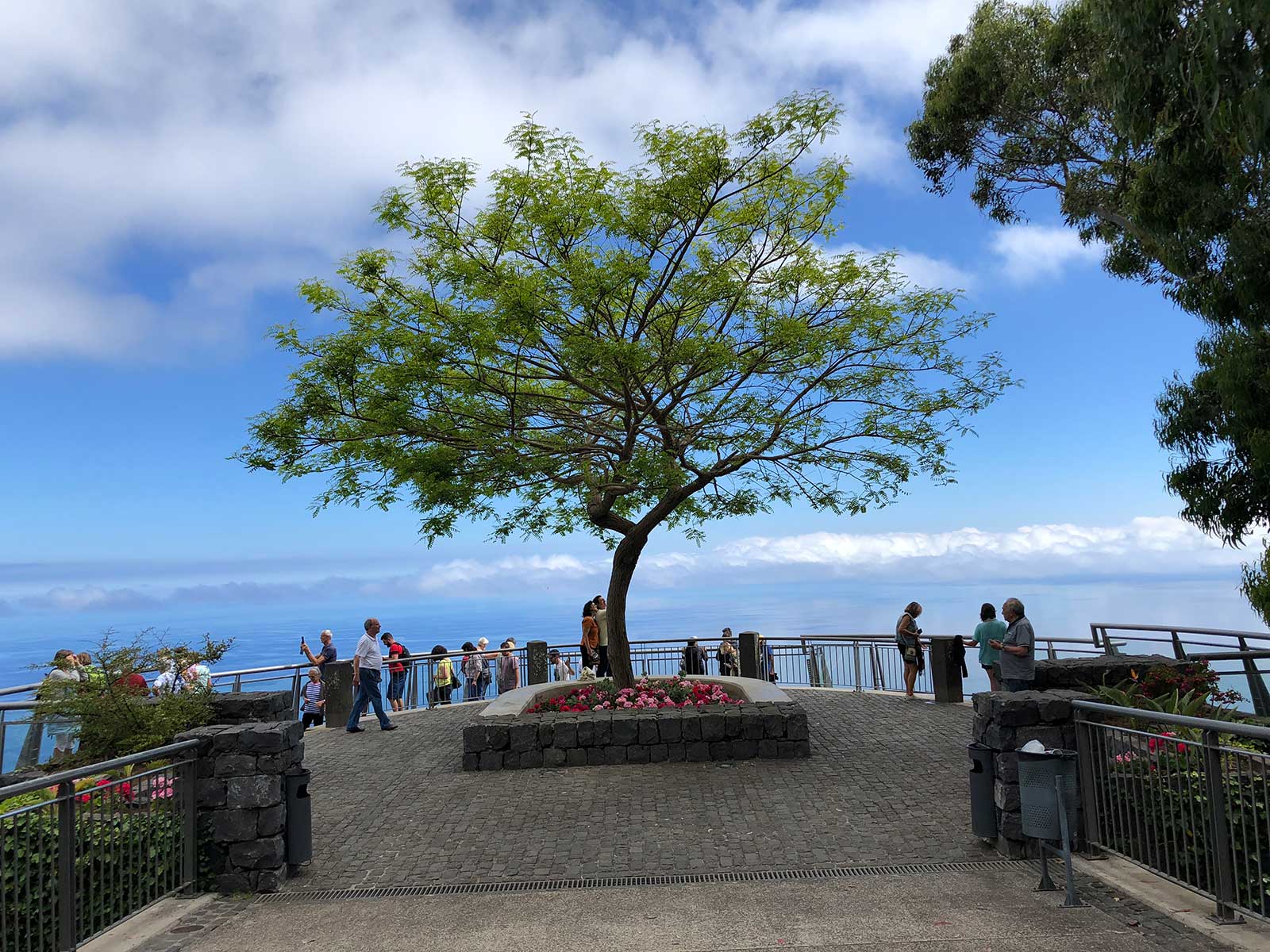 Cabo Girão Skywalk