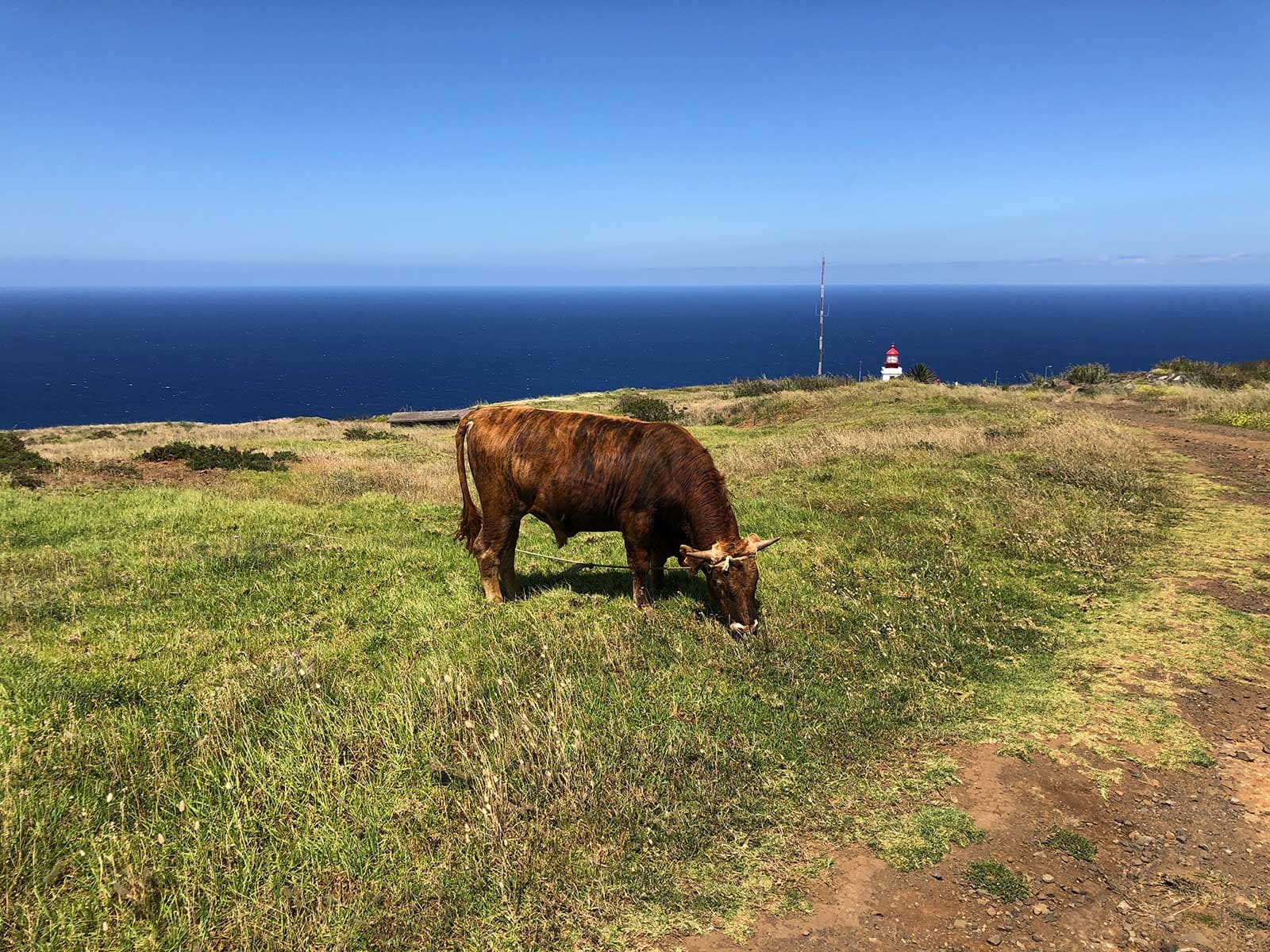 Faro de Ponta do Pargo 1