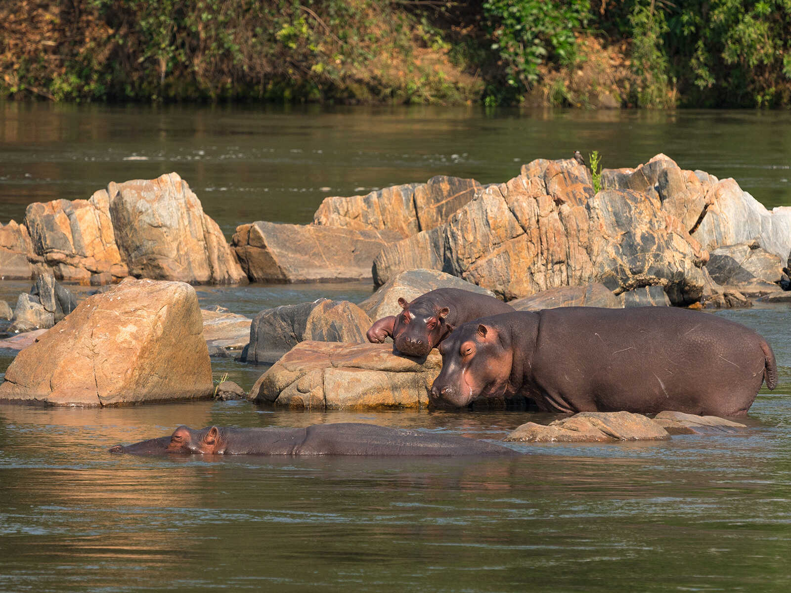 Reserva de Vida Silvestre Majete 2