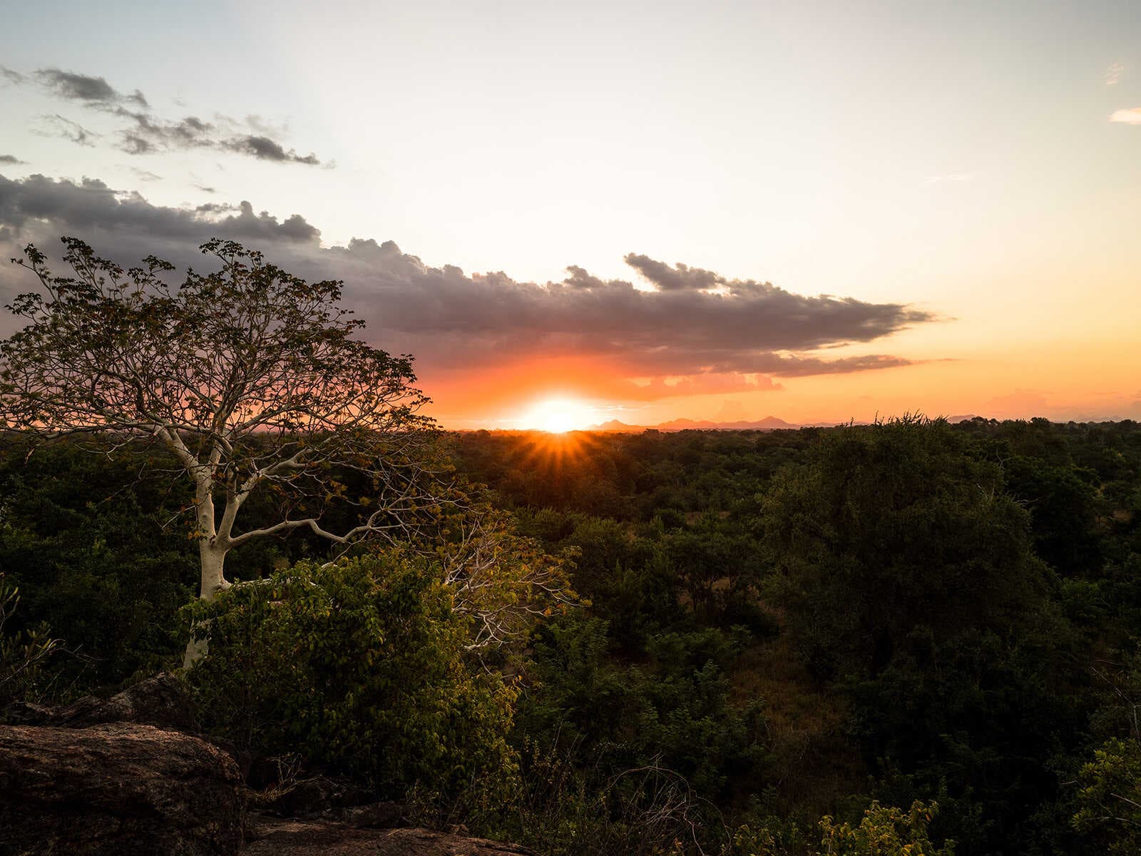 Reserva de Vida Silvestre Majete